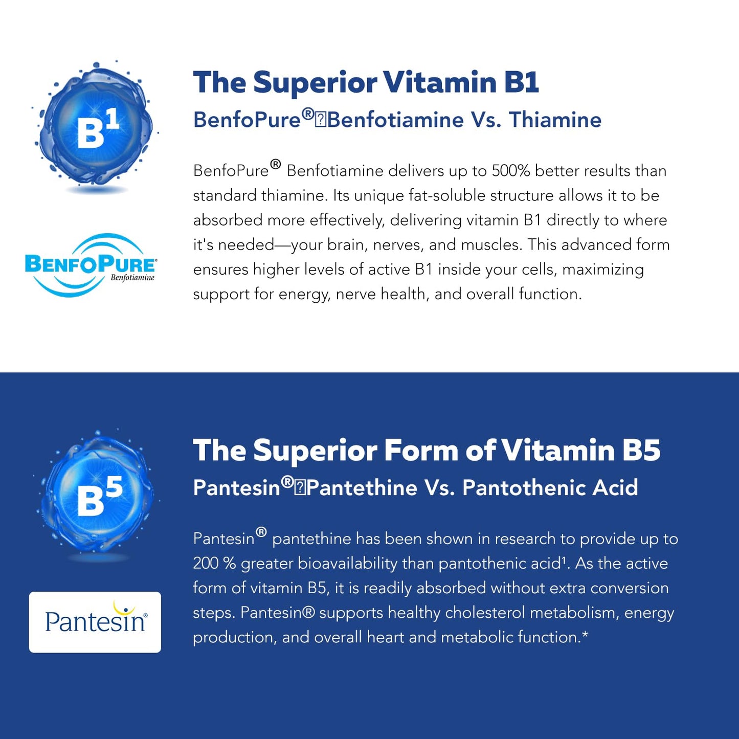 BioActive Vitamin B Complex - Blood Stream Ready, Methylated B Complex - Featuring Methylfolate, 3 BioActive Forms of B12, BenfoPure® B1 & Pantesin Triquetra Health