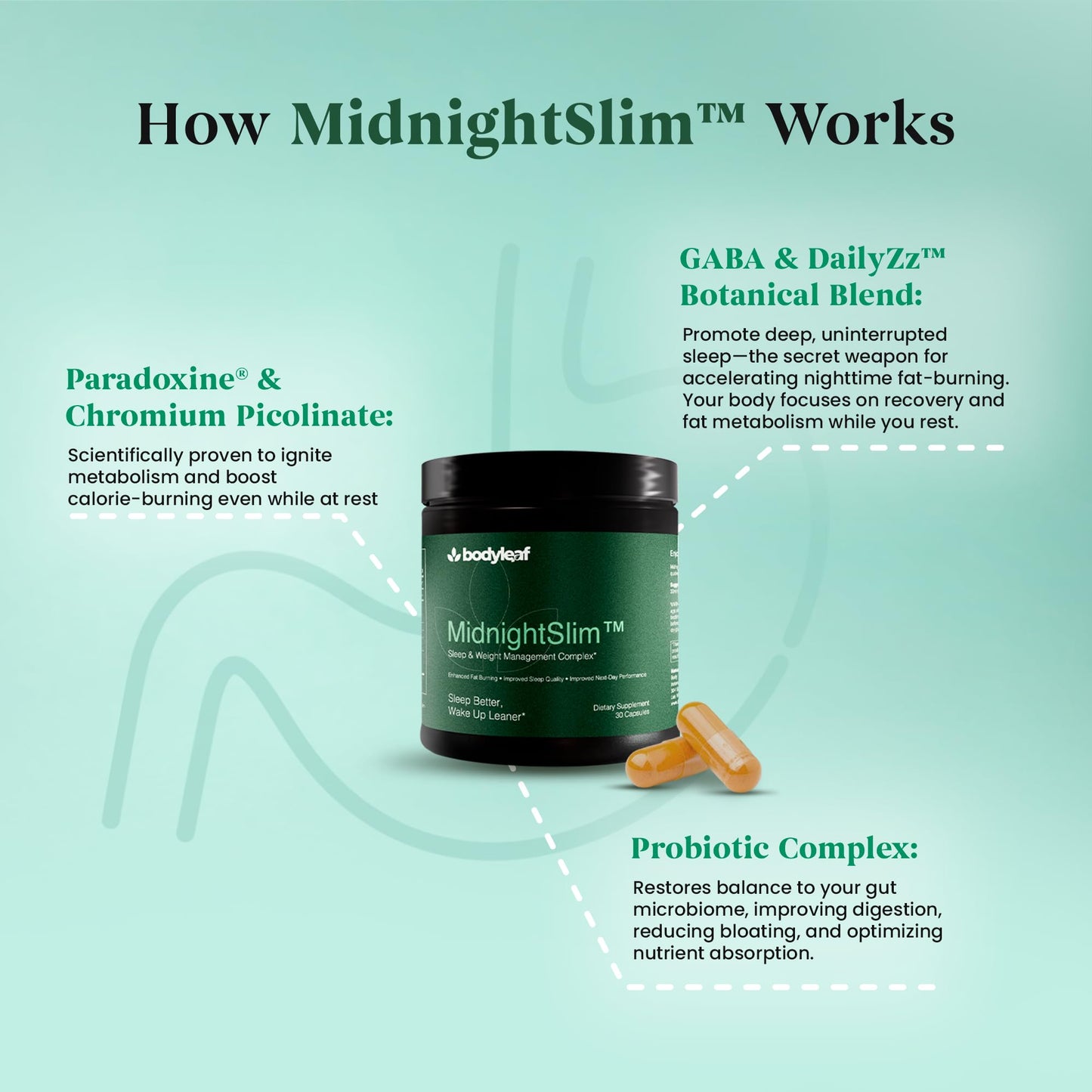MidnightSlim™ | Advanced Nighttime Weight  | Maximum Strength Metabolism Support, Digestive Health, Peaceful Sleep | Premium Probiotic Complex | 30 Capsules Body Leaf
