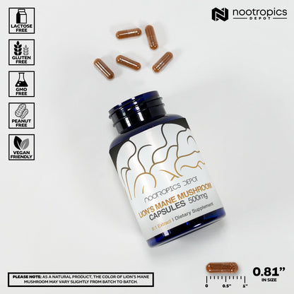 Nootropics Depot Lions Mane Mushroom Capsules | 8:1 Whole Fruiting Body Dual Extract | 500mg | 60 Count | Hericium erinaceus