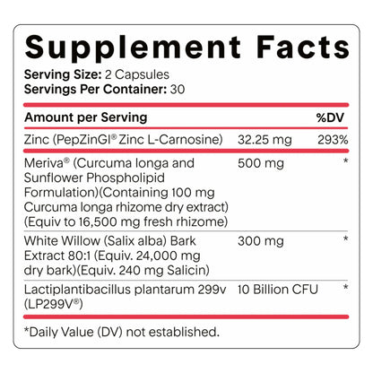 Goodness Lover Inflammation Pro, with 10 Billion CFU for Digestive Support, Curcumin, White Willow bark Extract, Zero fillers, Vegan, 30 Servings Goodness Lover