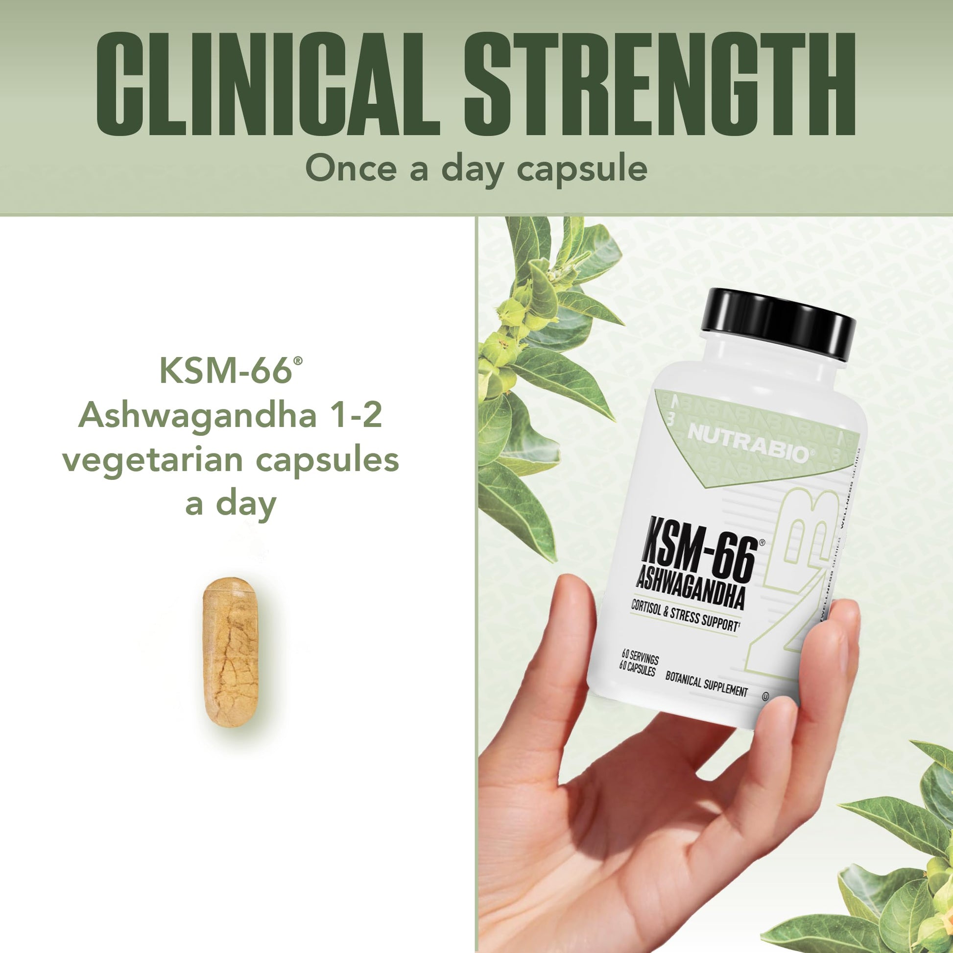 NutraBio Ashwagandha KSM-66 | Ashwagandha Herbal Supplement for Stress, Mood, & Performance | 600 MG of Clinically Studied KSM66 60 Capsules NutraBio buy australia supplements