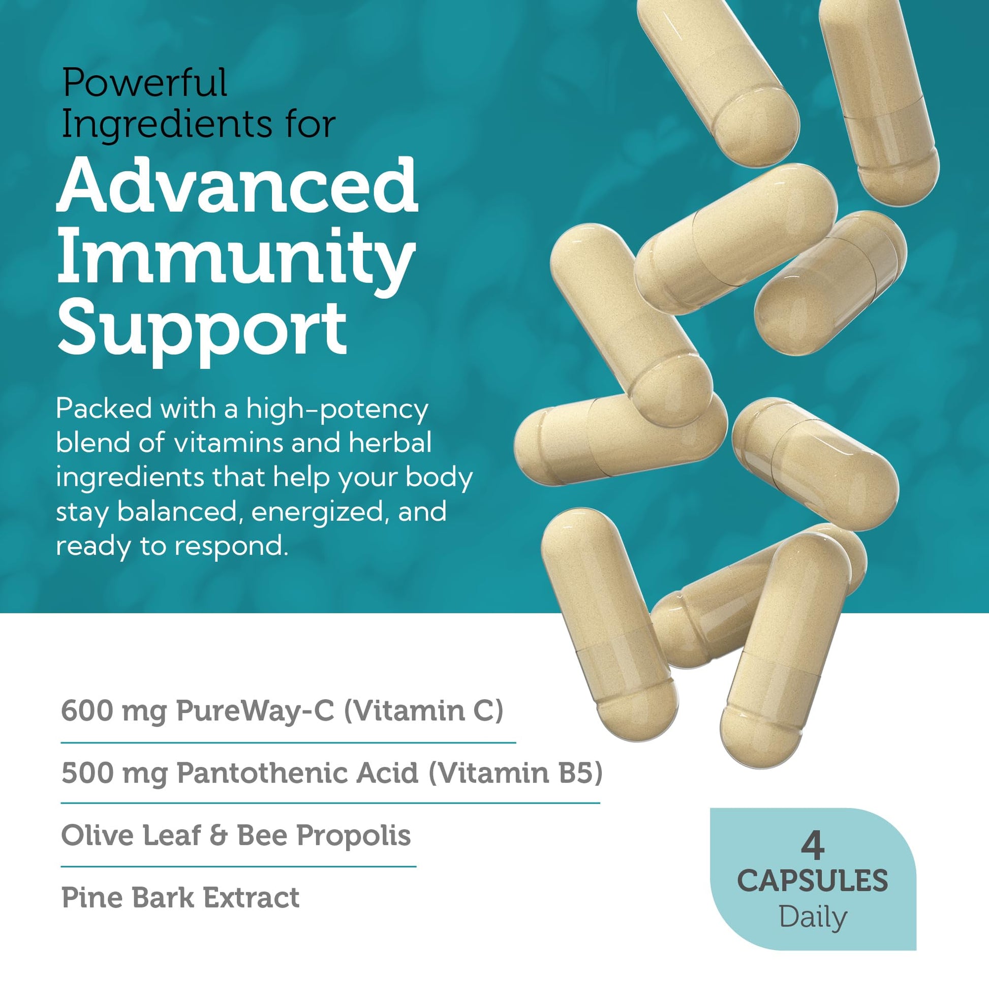 Zahler Immune Defense, Immune System Support, Certified Kosher, 120 Capsules Zahler buy australia supplements