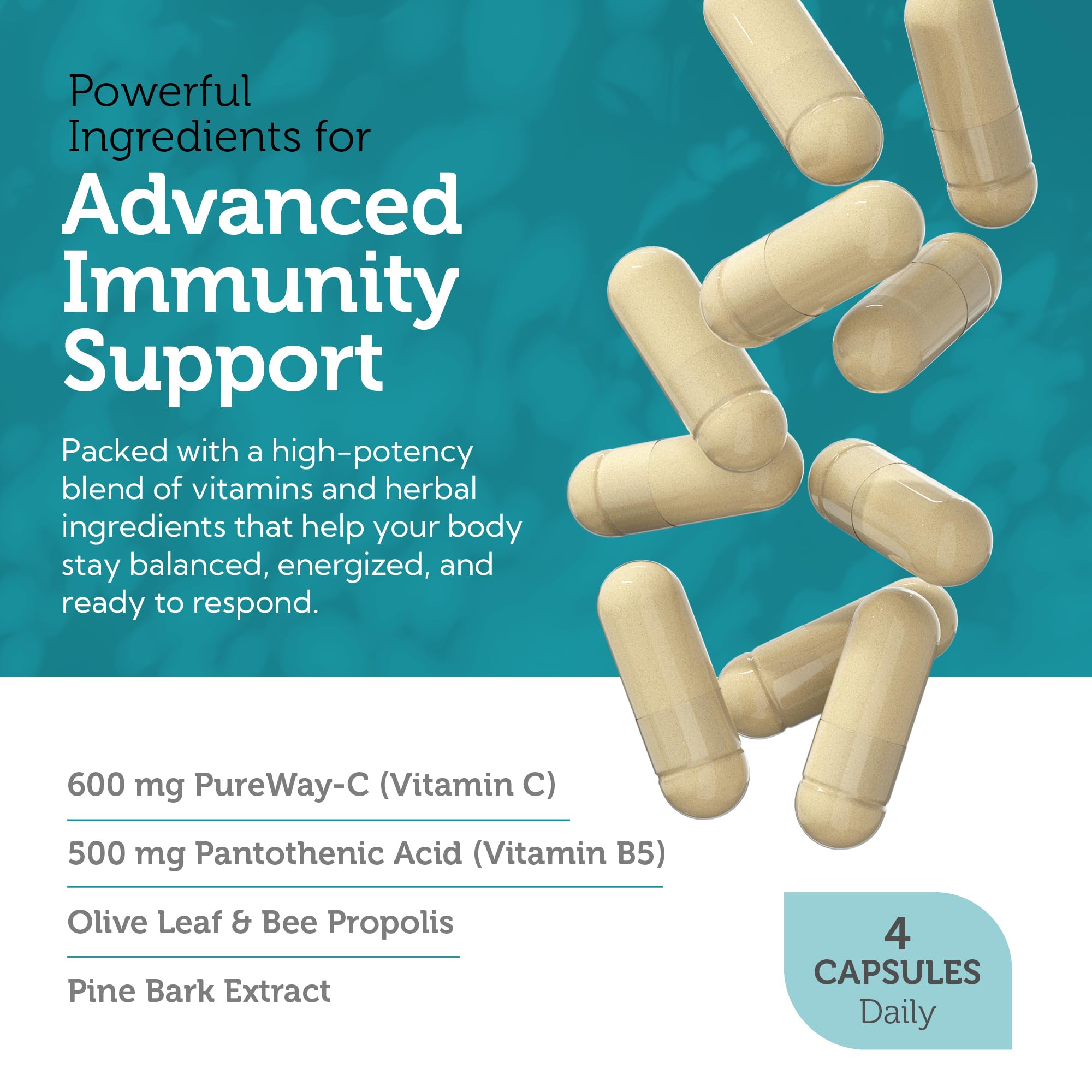 Zahler Immune Defense, Immune System Support, Certified Kosher, 120 Capsules Zahler buy australia supplements