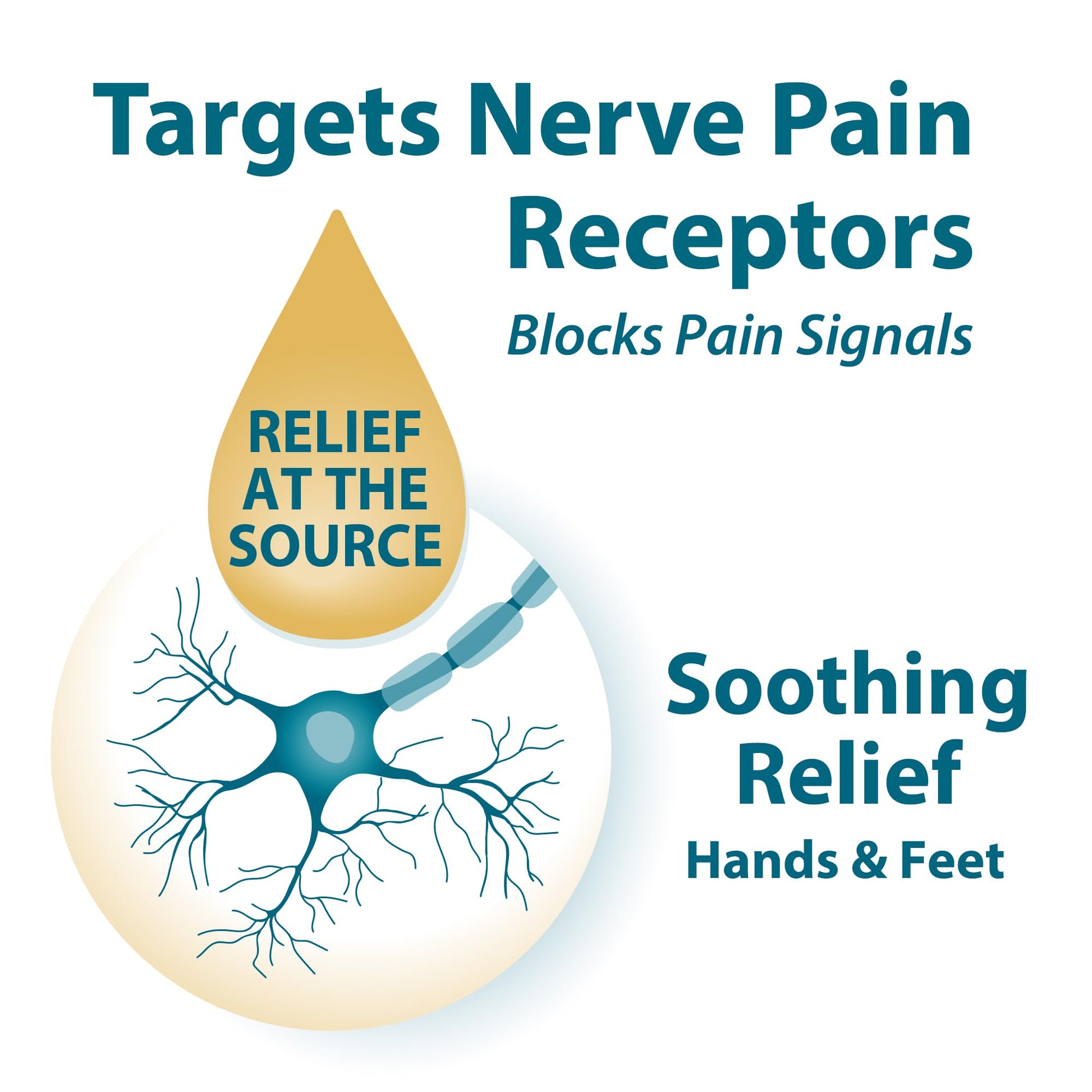 FRANKINCENSE & MYRRH Foot Pain Relief Cream - Intensive Foot Therapy Lotion - Diabetic Nerve Pain Relief Cream | Restless Leg Syndrome | Frankincense Essential Oil, 3 Ounce (2-Pack) FRANKINCENSE & MYRRH buy australia supplements