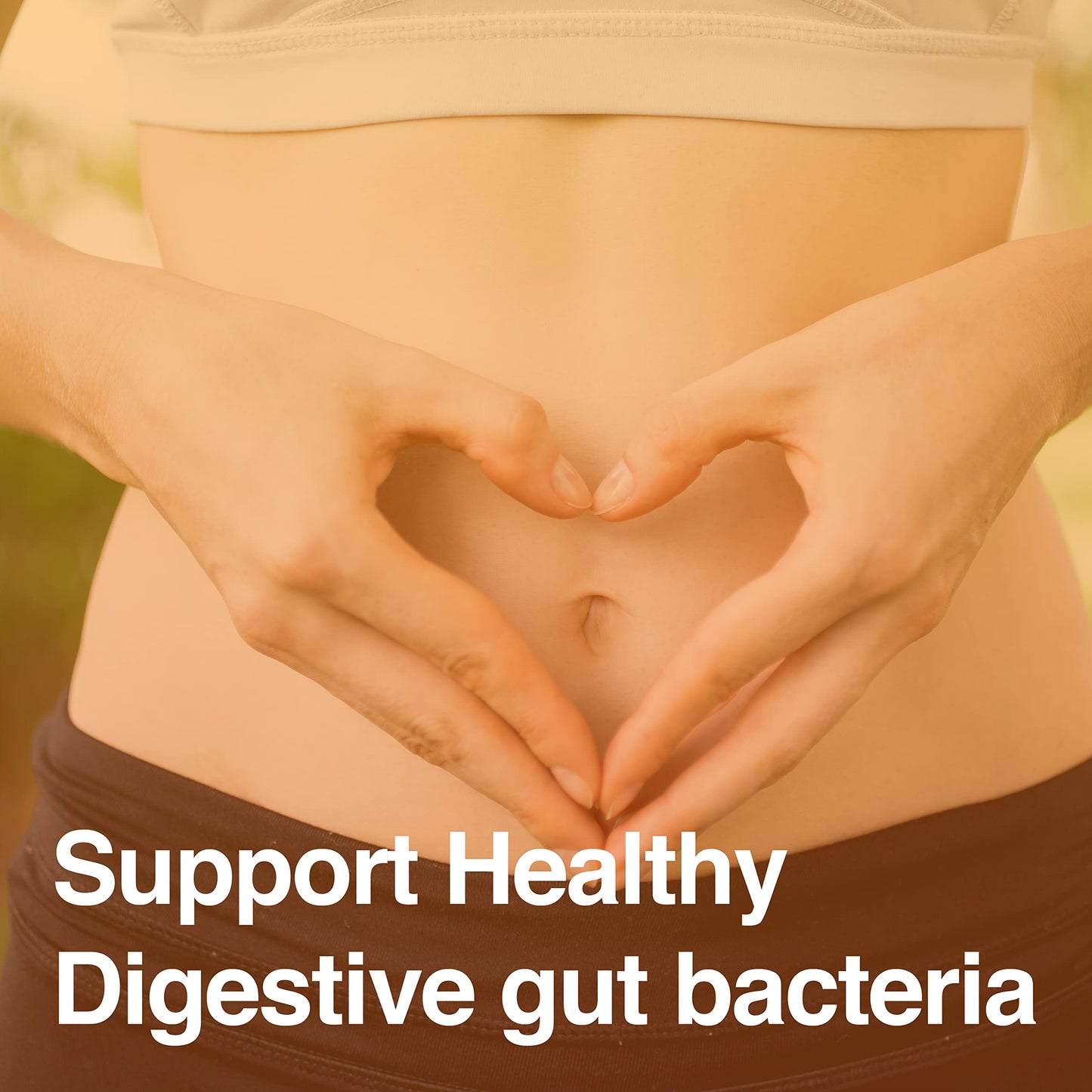 Vatellia Life New from Eaters Digest | Prebiotic | Probiotic | Digestive Support | Gut Soothing | Healthy Gut Lining | Max Nutrient Absorption Vatellia Life