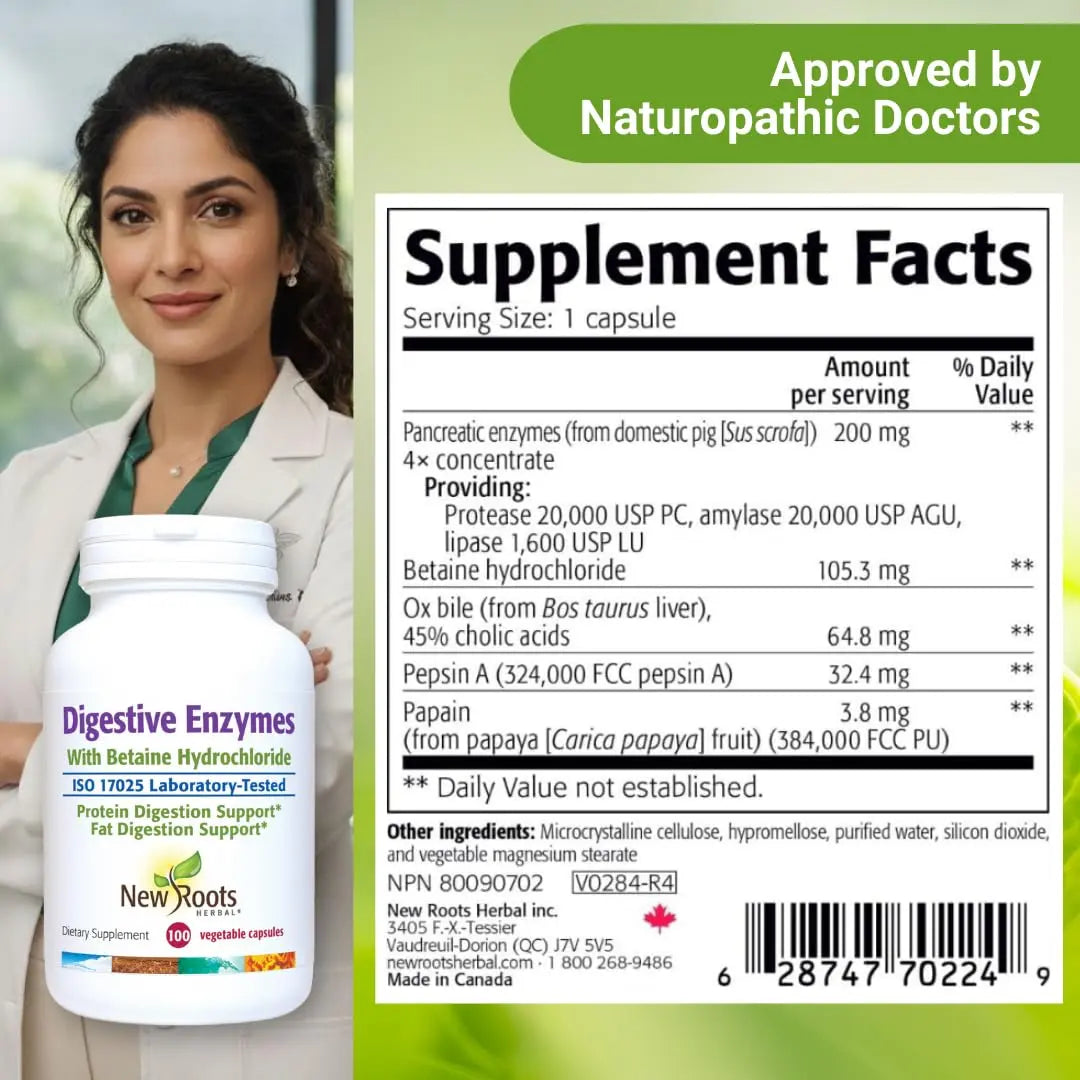 Digestive Enzymes with Ox Bile and Betaine HCl (100 Caps) Ox Bile Supplements for No Gallbladder with Papain & Pepsin A | Pancrease Cleanse & Detox NEW ROOTS HERBAL