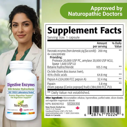 Digestive Enzymes with Ox Bile and Betaine HCl (100 Caps) Ox Bile Supplements for No Gallbladder with Papain & Pepsin A | Pancrease Cleanse & Detox NEW ROOTS HERBAL