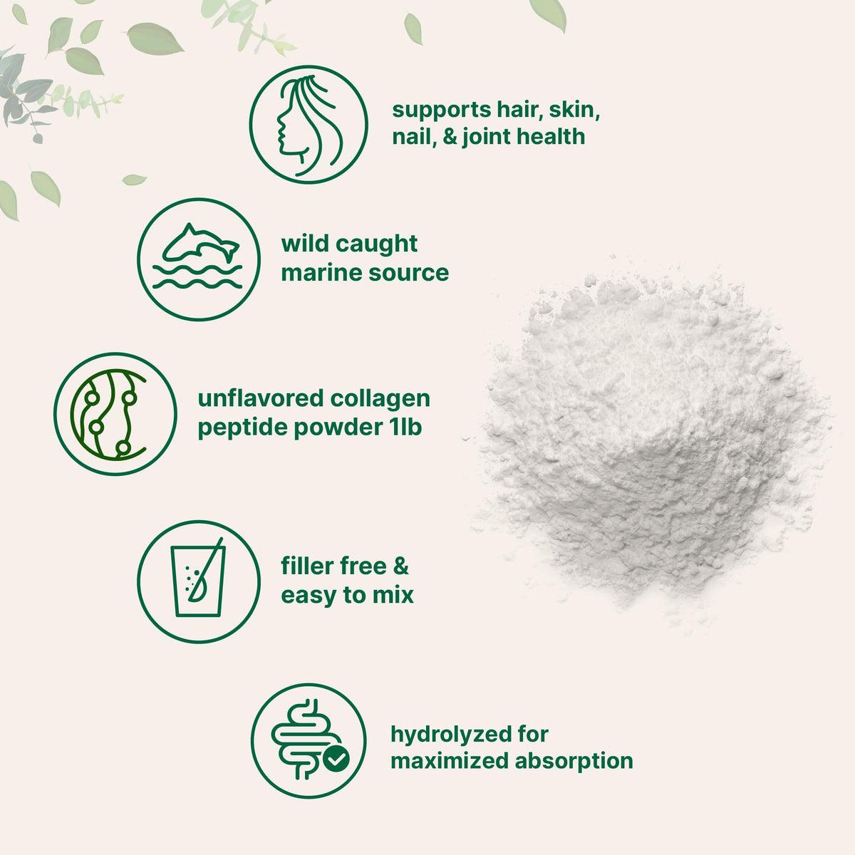 Micro Ingredients Marine Collagen Peptides Powder, 1 lb | Type I Marine Collagen + Natural Protein | Wild-Caught Fish Source Micro Ingredients