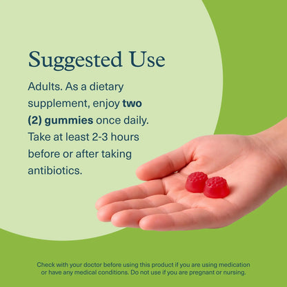 Youtheory Spore Probiotic Zero Sugar Gummy 90ct Youtheory
