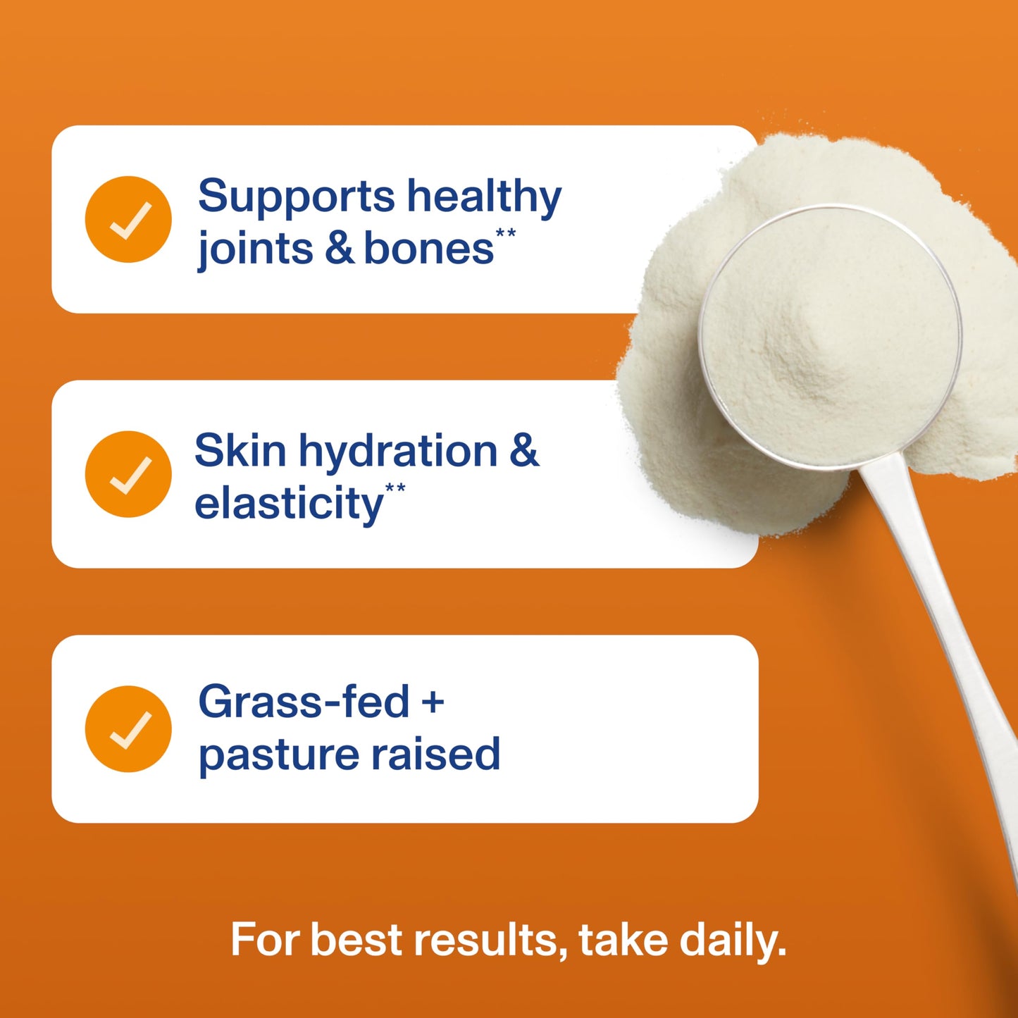 Vital Proteins® Pumpkin Spice Collagen Peptides, 20g Collagen Peptides, Healthy Hair, Skin, Nails & Joints Vital Proteins