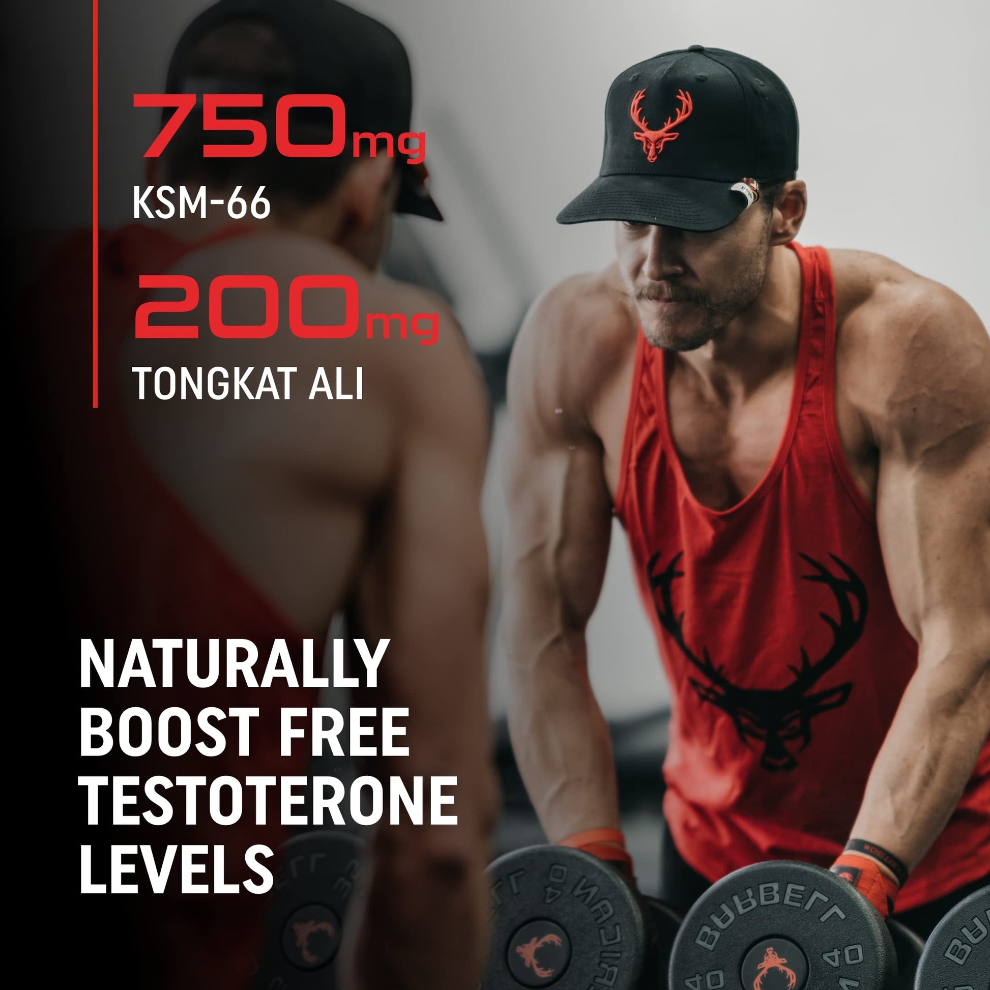 Bucked Up RUT - Testo Booster - Best All-Natural Test Formula for Men - Energy, Endurance, Strength, and Stamina Booster - Muscle Composition Aid - Male Supplements (90 Capsules/Pills) TyeinGo buy australia supplements