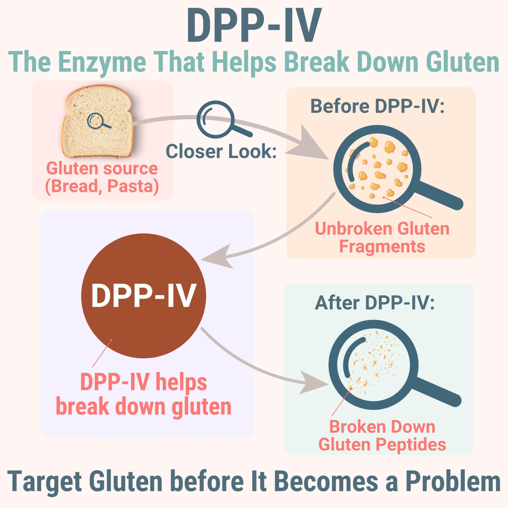 Gluten & Lactase Digestive Enzyme Gummies – Lactase Pancreatic Enzymes with DPP‑IV Lipase Gluco‑Amylase Lactase, Drops Chewables Capsules Pills Powder Supplement Alt, Pancreatic Support, for Kids SHIZAM buy australia supplements