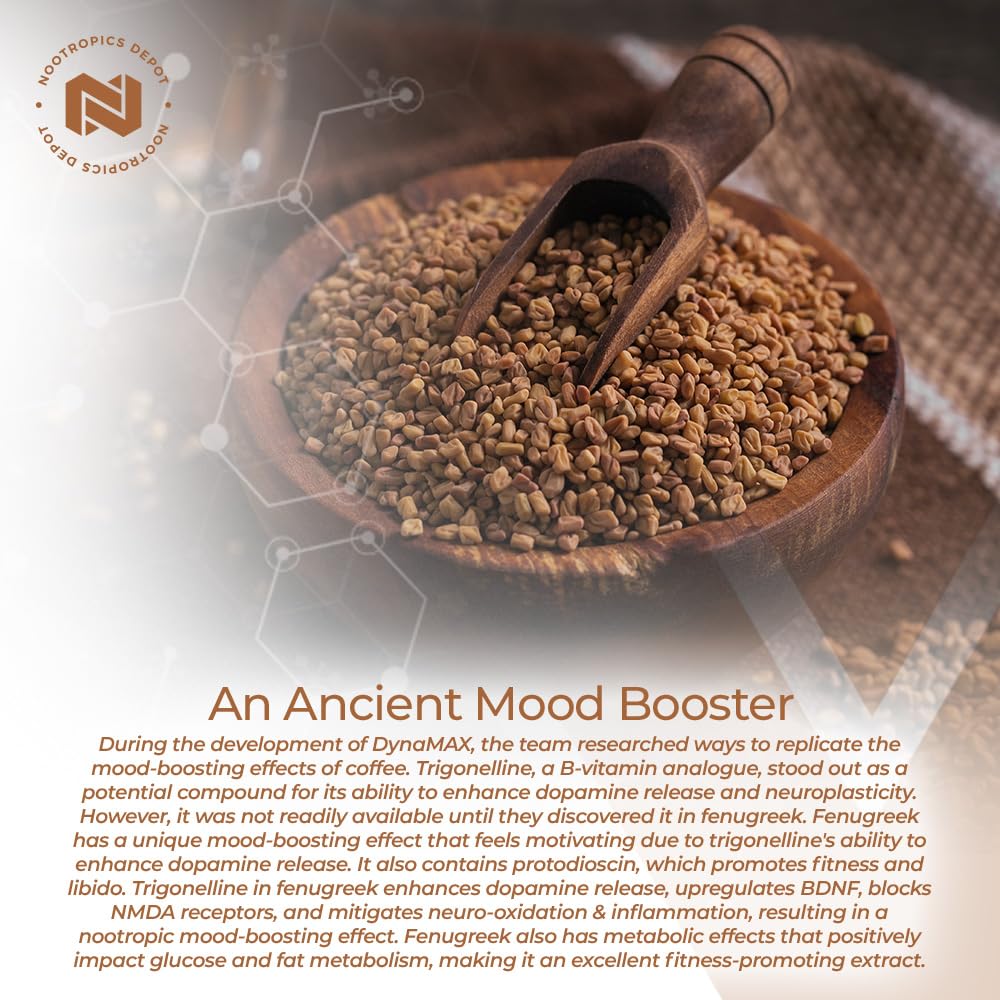 Nootropics Depot Fenugreek Extract Capsules | 500mg | 60 ct | 3% Trigonelline, 1% Protodioscin | Trigonella foenum-graecum | Mood, Fitness, & Metabolic Function