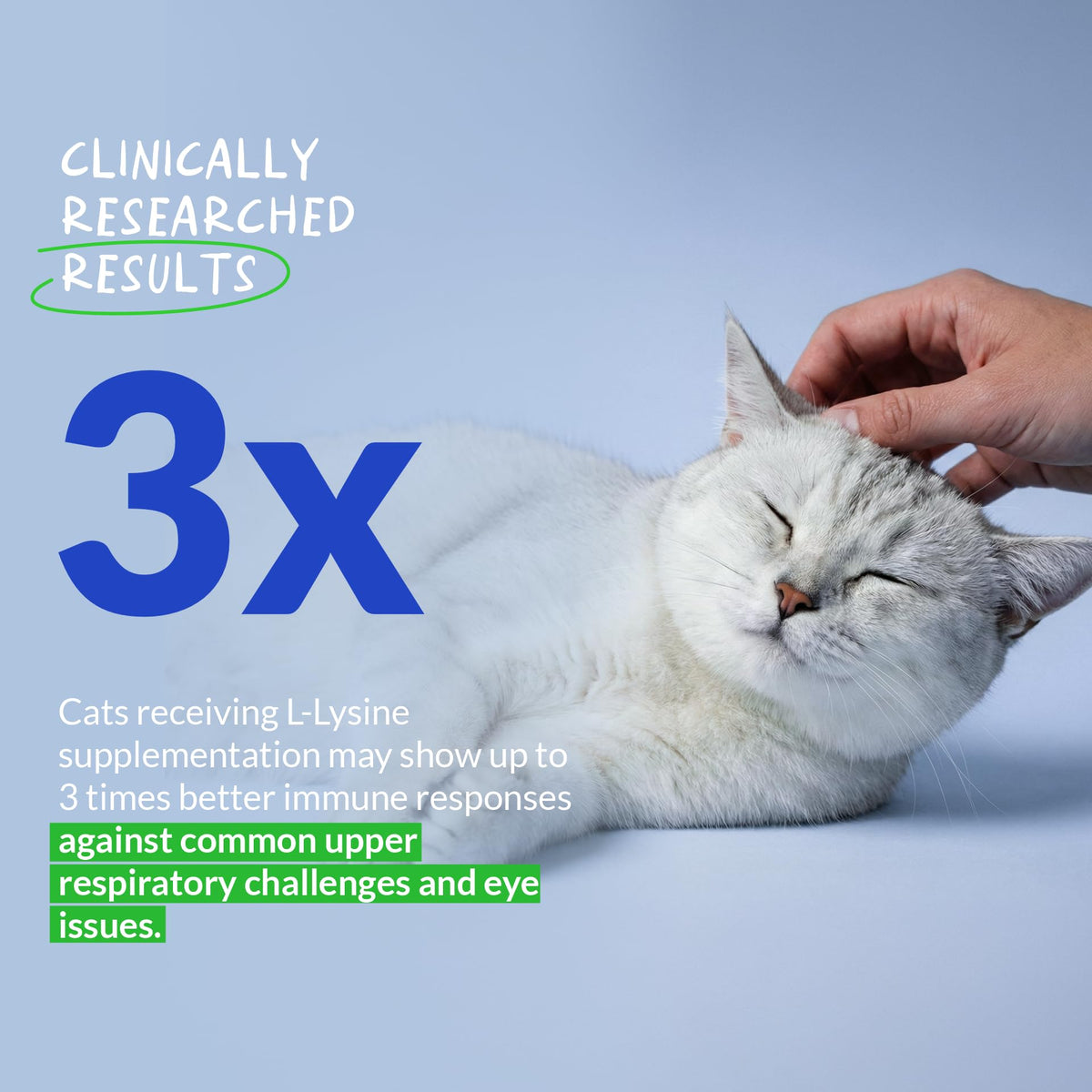 L-Lysine Supplement for Cats 900mg/scoop - Cat Supplement for Sneezing and Runny Nose, Cold, Immune Support, Eye Function Coco and Luna