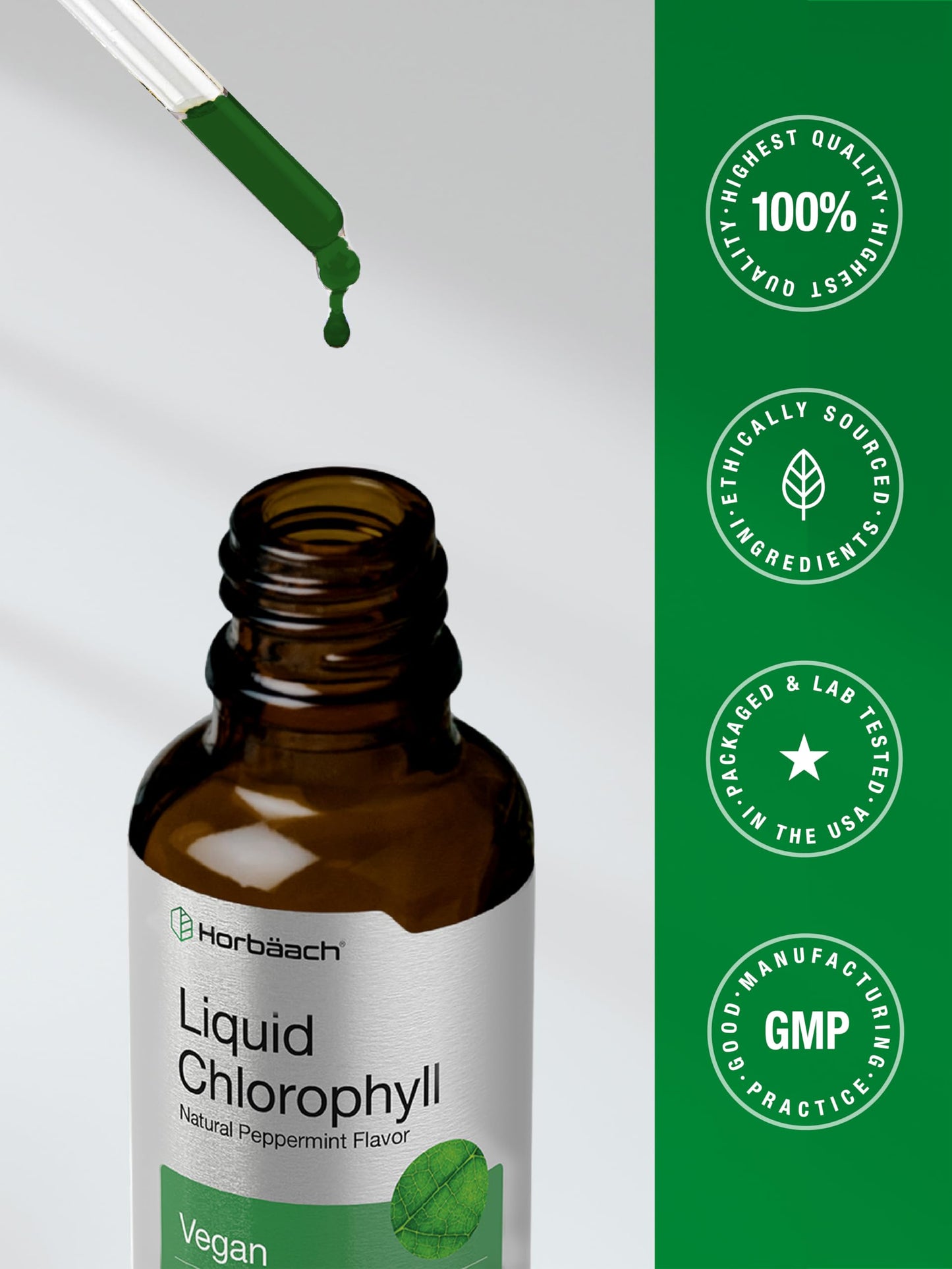 Horbäach Liquid Chlorophyll Drops | 2 oz | Vegan, Non-GMO, and Gluten Free Formula | Natural Peppermint Flavor Horbäach