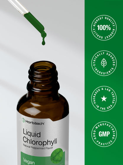 Horbäach Liquid Chlorophyll Drops | 2 oz | Vegan, Non-GMO, and Gluten Free Formula | Natural Peppermint Flavor Horbäach