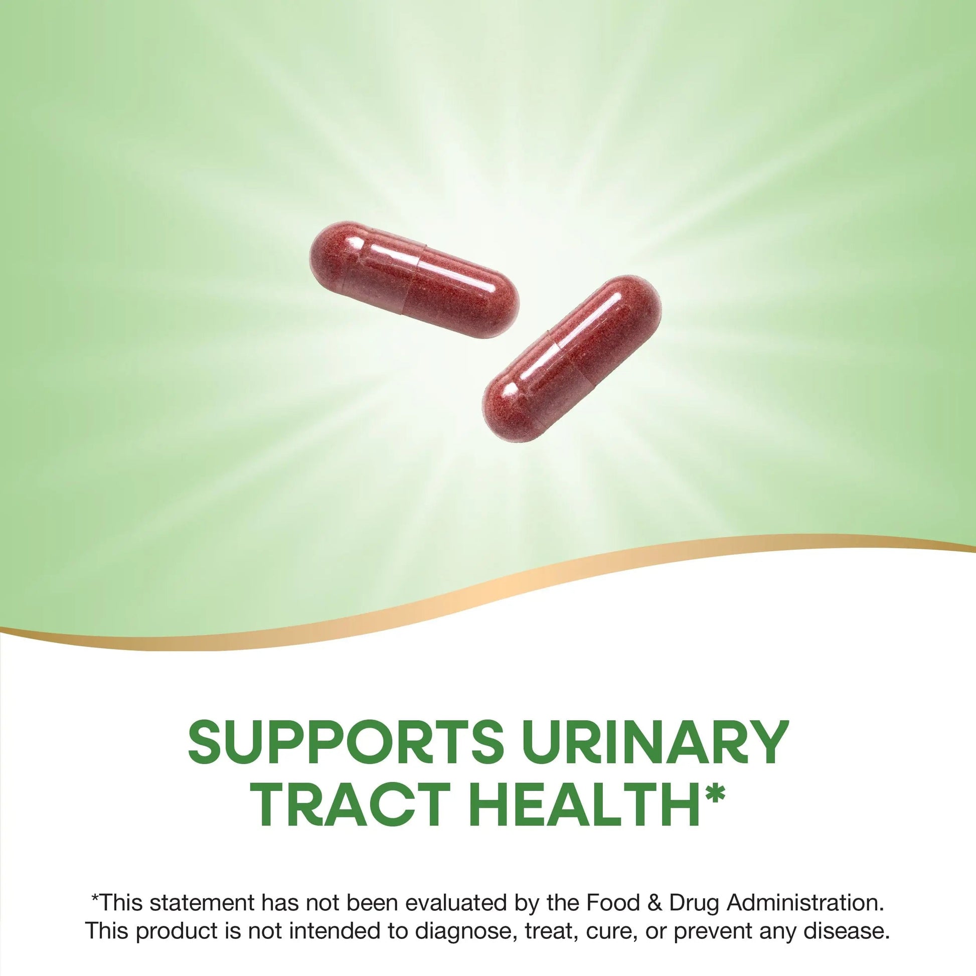 Nature's Way Cranberry Fruit, Cranberry Supplements, Supports Urinary Tract Health*, 930 mg per 2-Capsule Serving, 180 Capsules (Packaging May Vary) Nature's Way buy australia supplements