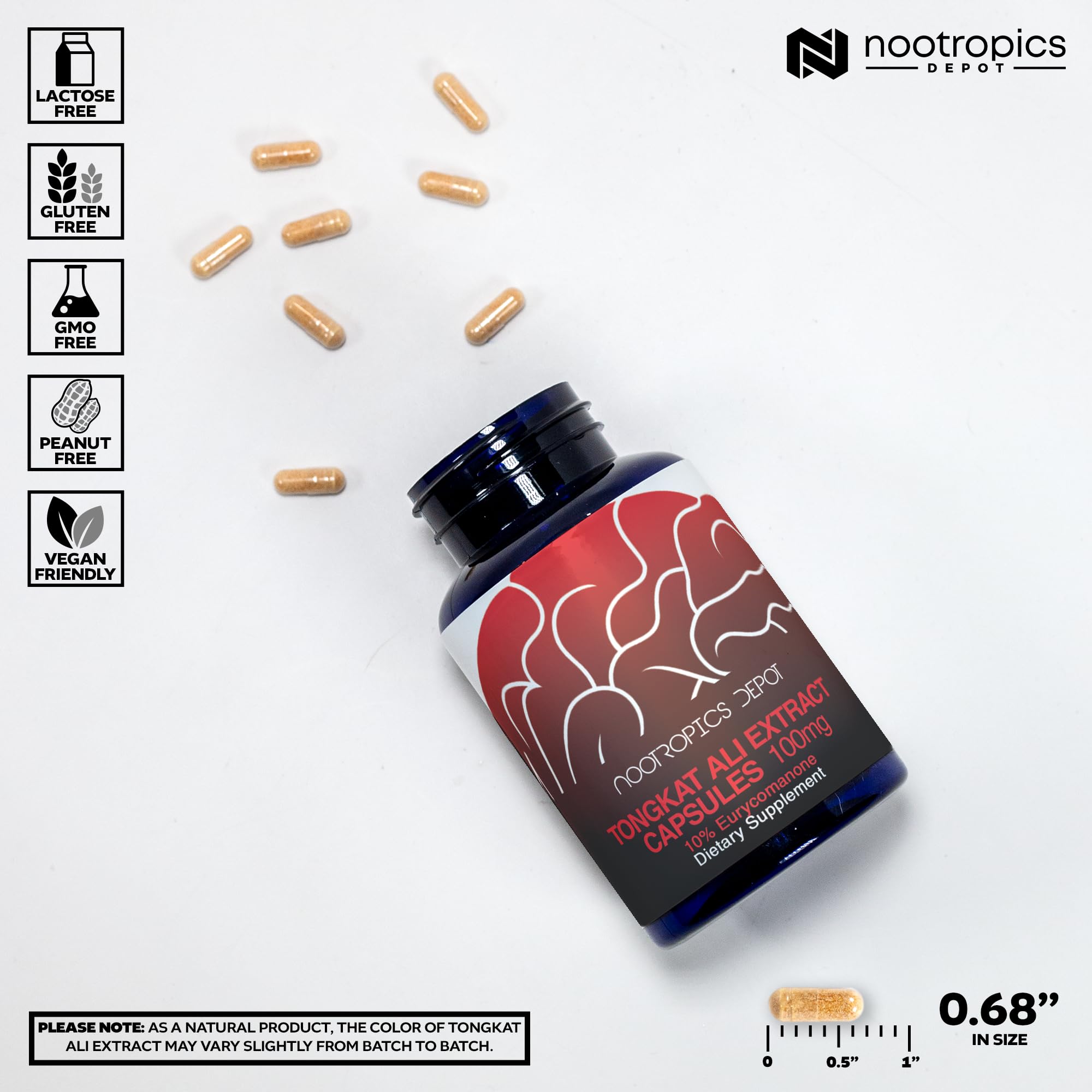 Depot Tongkat Ali Extract Capsules | 100mg | 60 Count | 10% Eurycomanone by HPTLC | Eurycoma longifolia Root Extract Nootropics Depot buy australia supplements