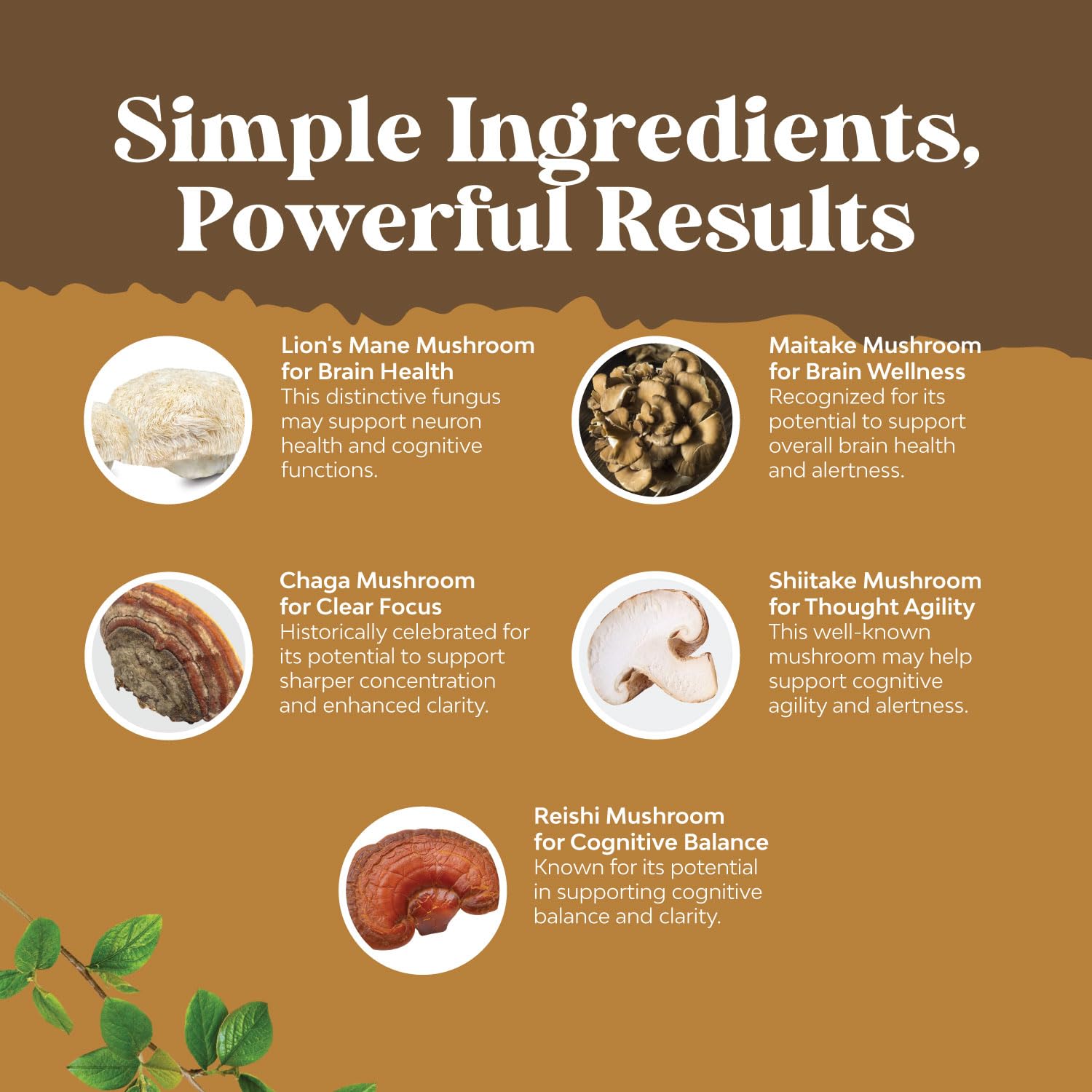 Advanced Lion's Mane Mushroom Supplement - Lions Mane Supplement Capsules with Reishi Chaga Maitake & Shiitake for Brain Health Memory Support & Focus - Nootropic for Mental Clarity - 120 Count Natures Craft buy australia supplements