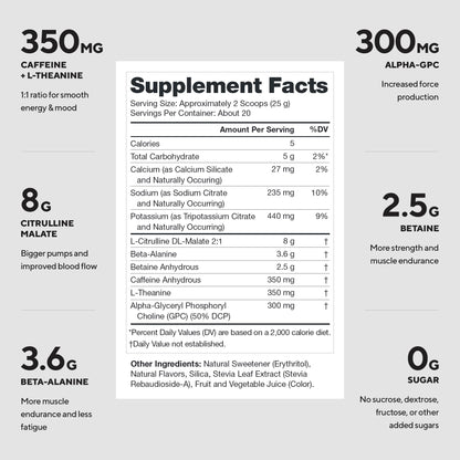 LEGION Pulse Pre Workout Supplement - All Natural Nitric Oxide Preworkout Drink to Boost Energy, Creatine Free, Naturally Sweetened, Beta Alanine, Citrulline, Alpha GPC (Fruit Punch)