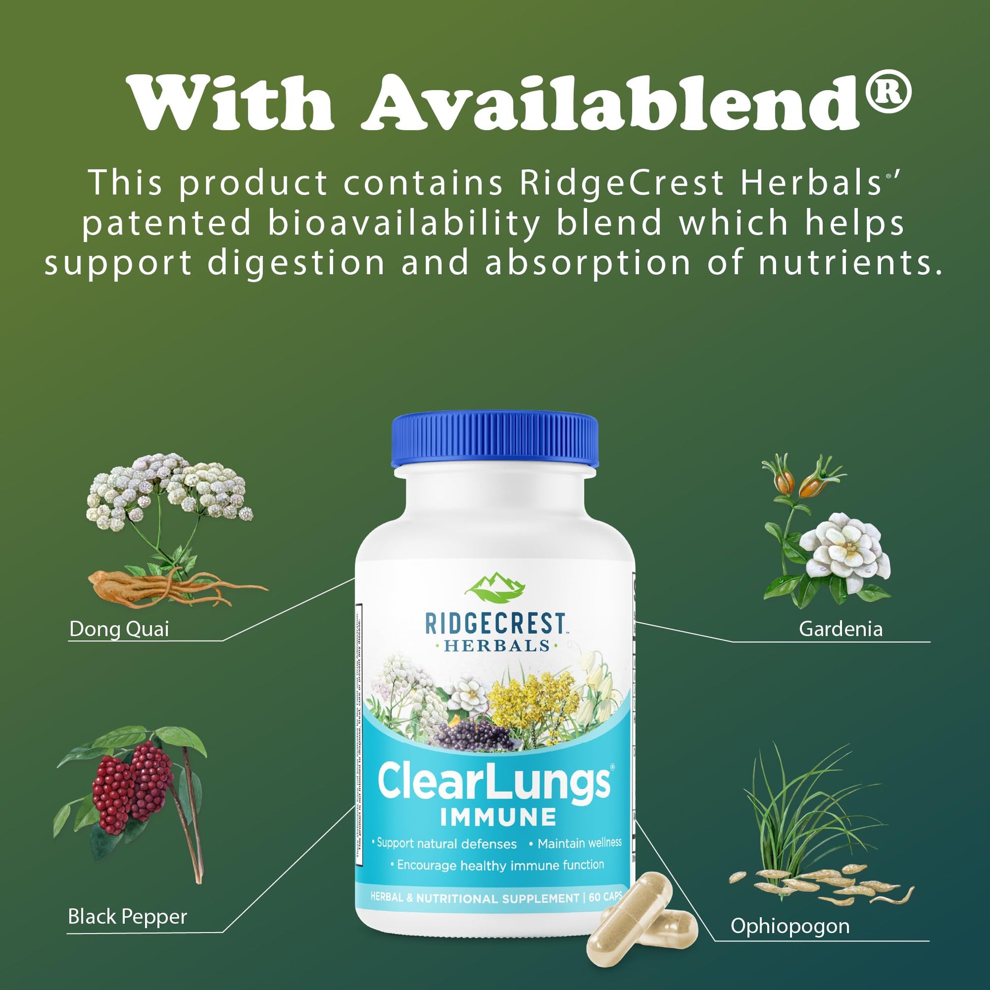 RidgeCrest Herbals ClearLungs Immune, Lung Support Supplement with Elderberry, Zinc, Vitamin C, Vitamin A, Olive Leaf, Mullein, Lung Wellness Formula for Respiratory Health (60 Vegan Caps, 30 Serv) RidgeCrest Herbals buy australia supplements