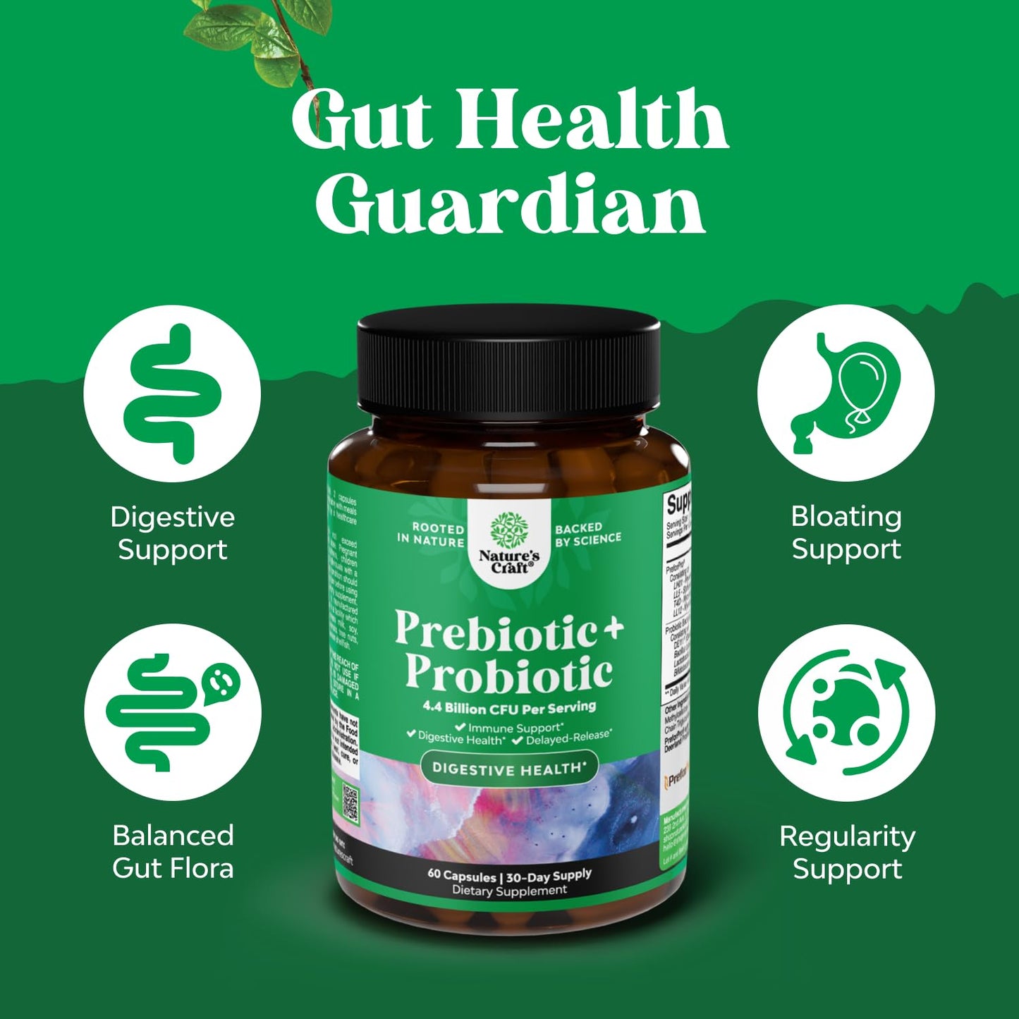 Prebiotics and Probiotics Gut Health Supplement-Super Potent Digestive Health Acidophilus Probiotic Capsules with Men & Womens Probiotics & Prebiotics Natures Craft