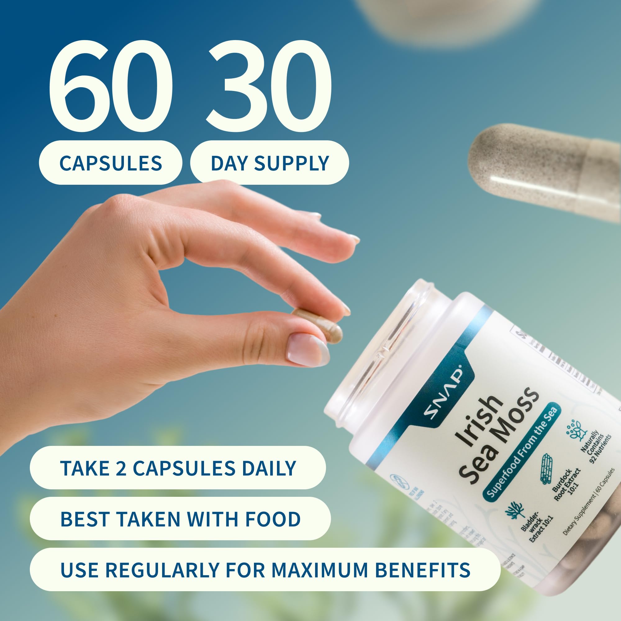 Snap Supplements Irish Sea Moss with Bladderwrack, Burdock Root & Iodine – Natural Sea Moss Supplement to Support Gut Health, Energy & Healthy-Looking Skin, 60 Vegan Capsules (1 Month Supply) Snap Supplements buy australia supplements
