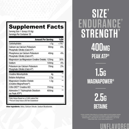 RYSE Loaded Creatine for Men & Women - Electric Lemonade - Muscle Building Formula with 3 Forms of Electrolytes, Betaine Anhydrous and Peak ATP - Strength, Power & Endurance Support - 30 Servings