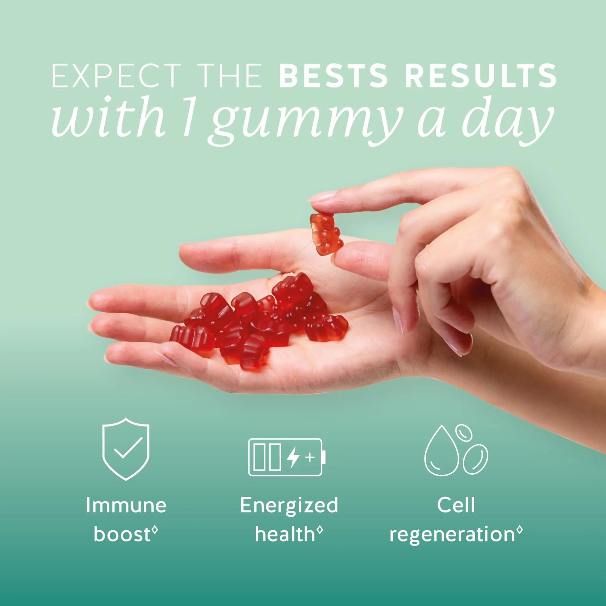 Bears with Benefits Immune Support Gummies – Vitamin C, D, B6 & B12 – Daily Immune Boost – Vegan, Naturally Flavored (30 Gummies) Bears with Benefits buy australia supplements