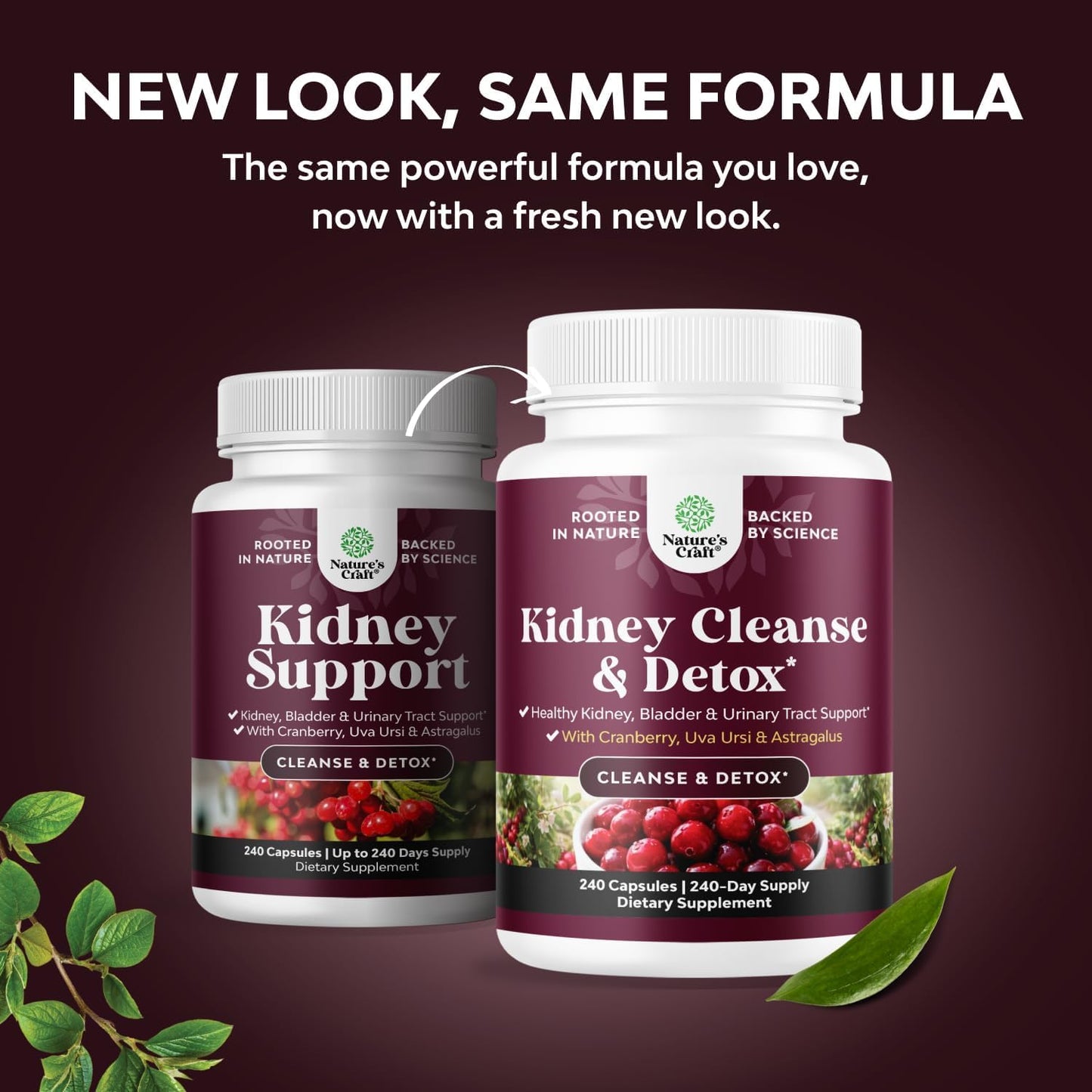 Advanced Kidney Cleanse Support - Cranberry Supplement - 60 Capsules | Kidney Support Supplement with Uva Ursi, Stinging Nettle Leaf & Astragalus - Urinary Tract Support - Vegan - 60 Servings Gsupps Australia