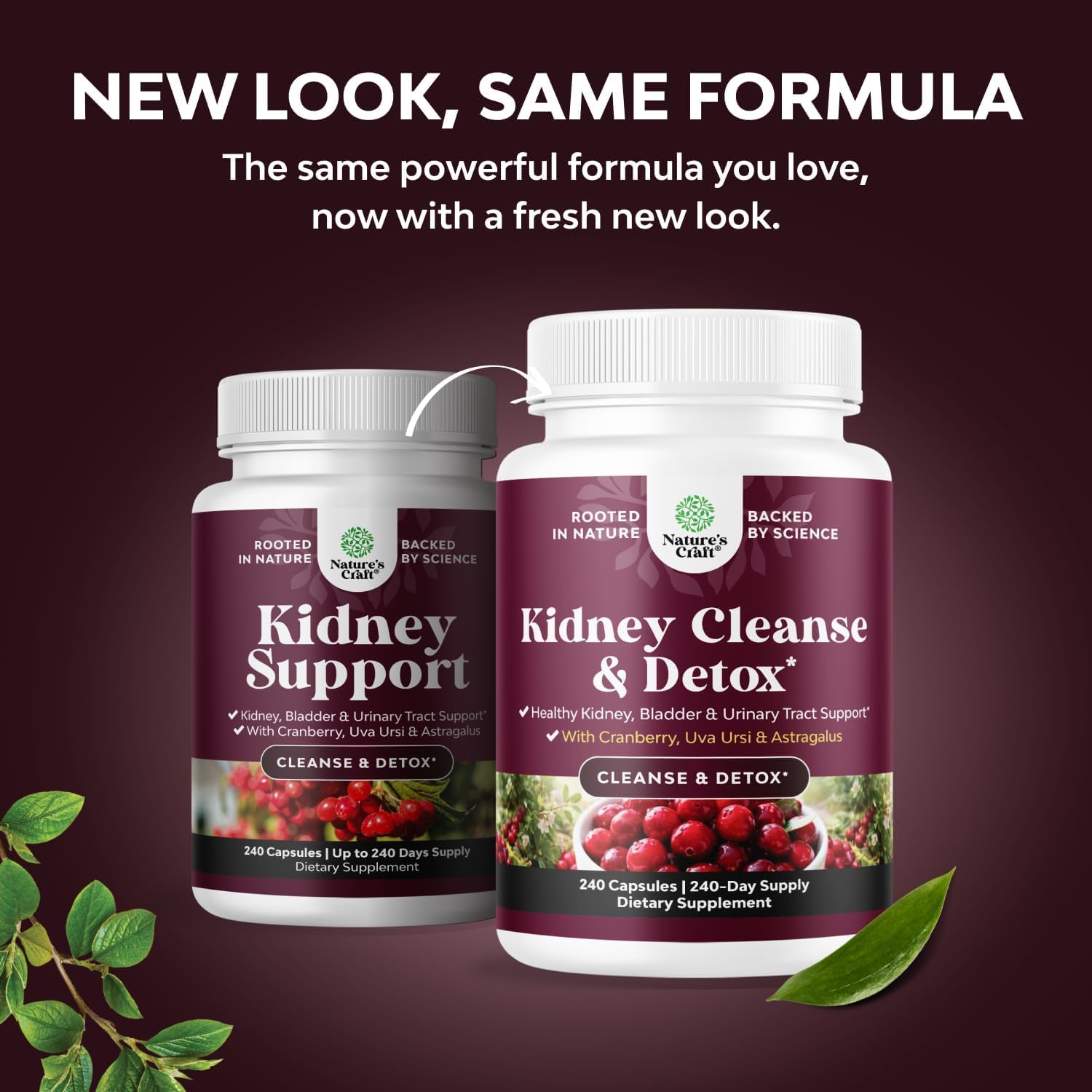 Advanced Kidney Cleanse Support - Cranberry Supplement - 60 Capsules | Kidney Support Supplement with Uva Ursi, Stinging Nettle Leaf & Astragalus - Urinary Tract Support - Vegan - 60 Servings Gsupps Australia