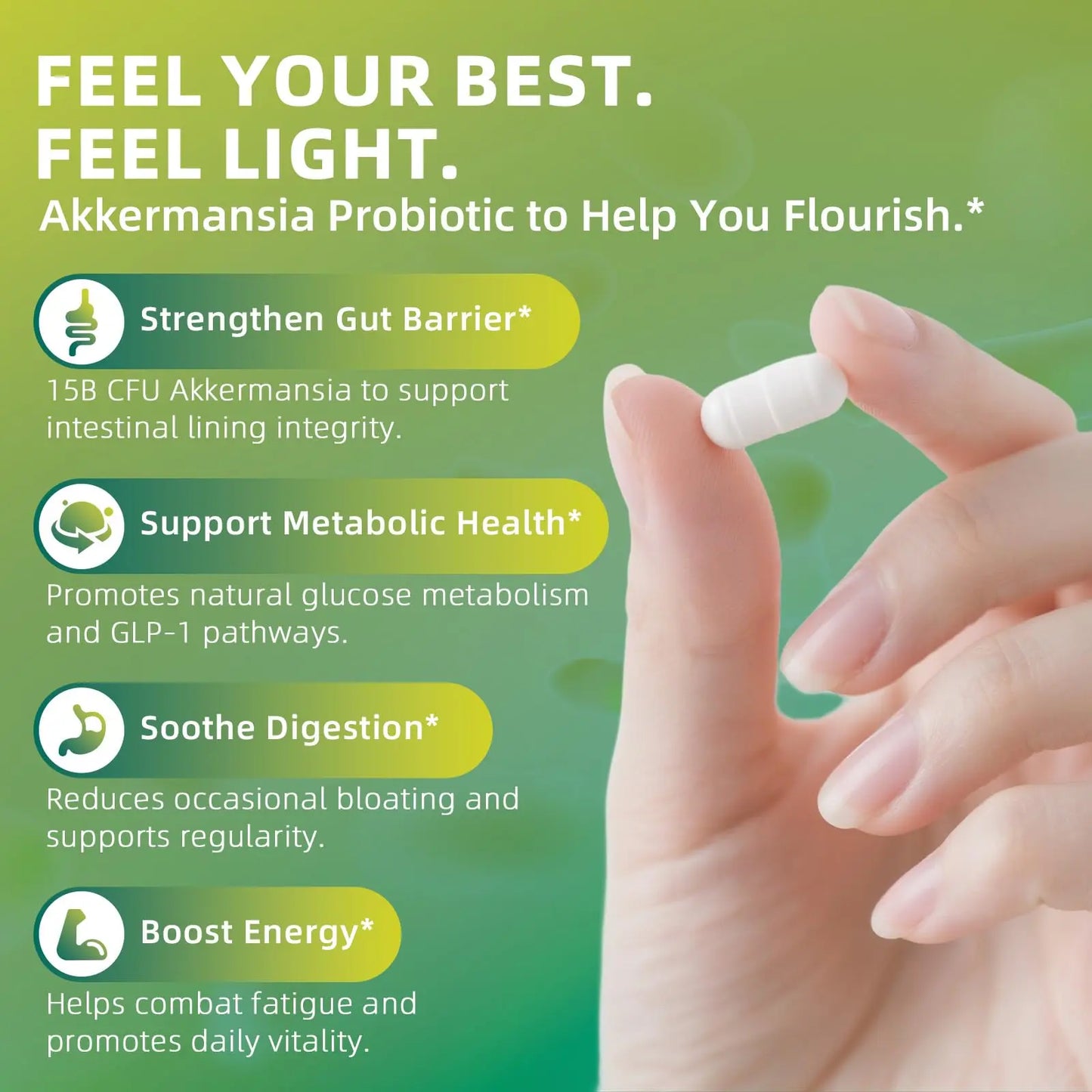 GREENPEOPLE Akkermansia Probiotics 15B CFU for Gut Function, 60CT Probiotics Supplement with Ceylon Cinnamon, Turmeric | Digestive Health & Metabolic Support GREENPEOPLE