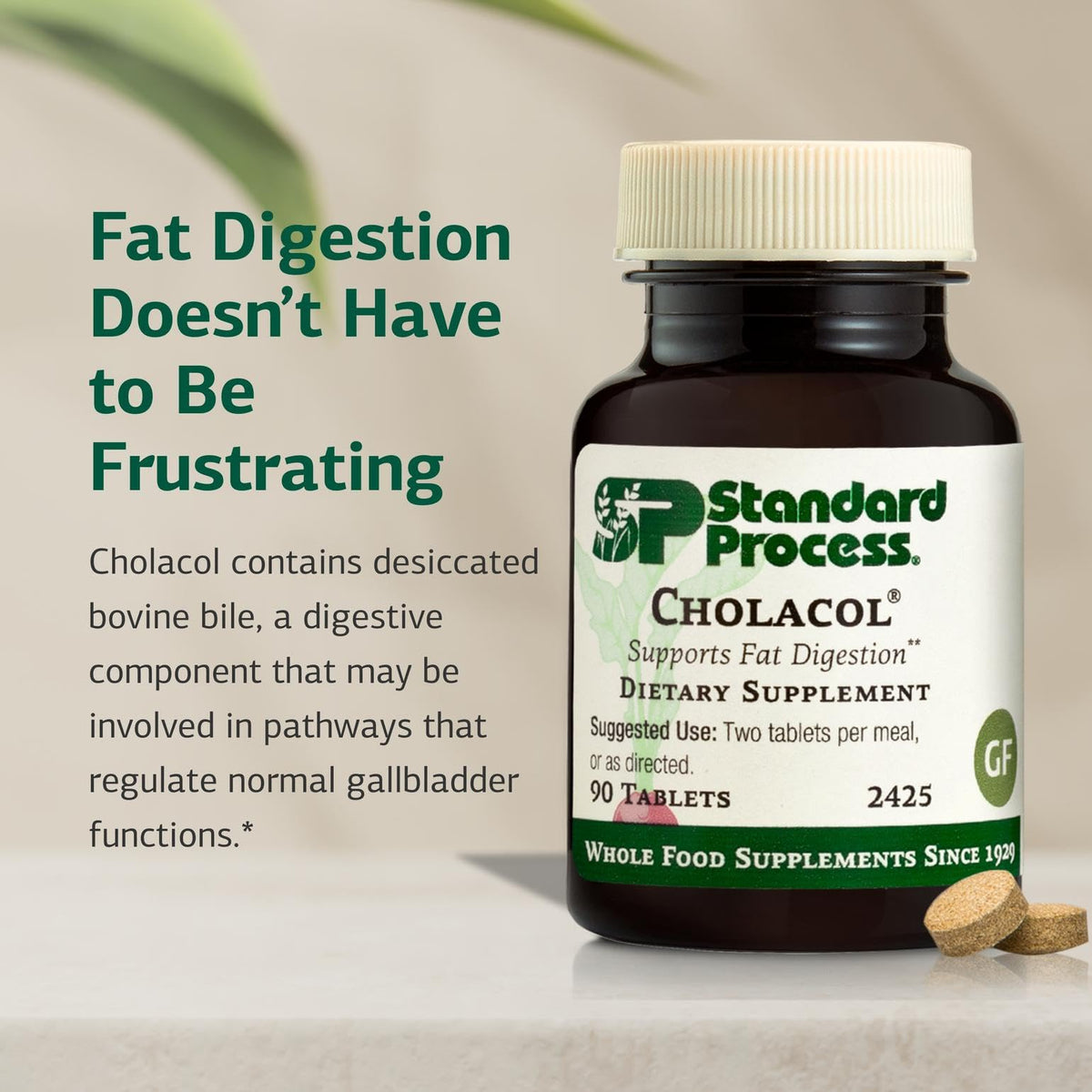 Standard Process Inc. Cholacol - Gallbladder Support Supplement - Fat Digestion Supplement for Digestive Health & Bile Support Standard Process Inc.