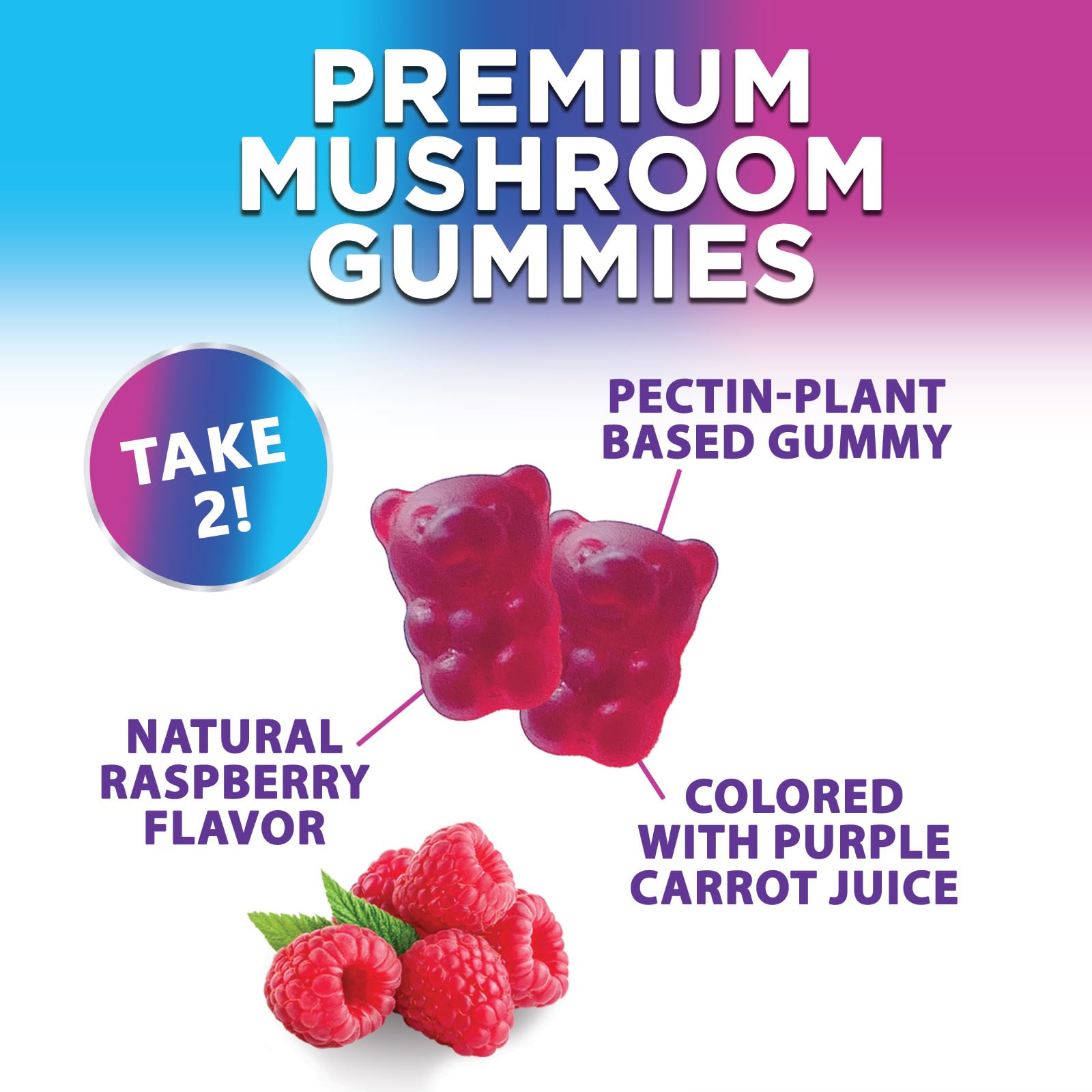 Mushroom Gummies Supplement 12 in 1 - High Grade Blend for Adults with Lions Mane, Reishi, Cordyceps, & Chaga Mushroom Complex Gummy, Memory & Immune Support & Nootropic Brain Supplements - 60 Gummies Nature's Nutrition buy australia supplements