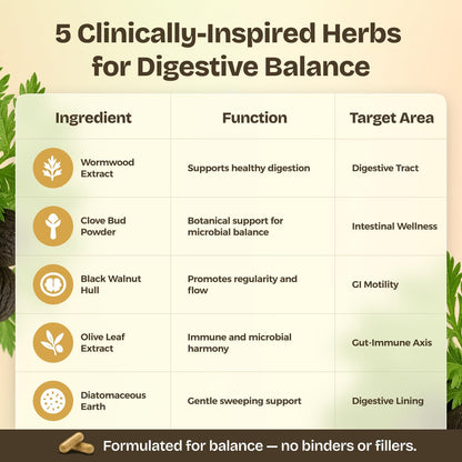 Serene Herbs Paraclara Wormwood Black Walnut Hull Clove Supplement - Cleanse & Detox for Humans - Natural Gut Health Digestive Formula for Children & Adults - Supports Digestion & Energy - 60 Capsules