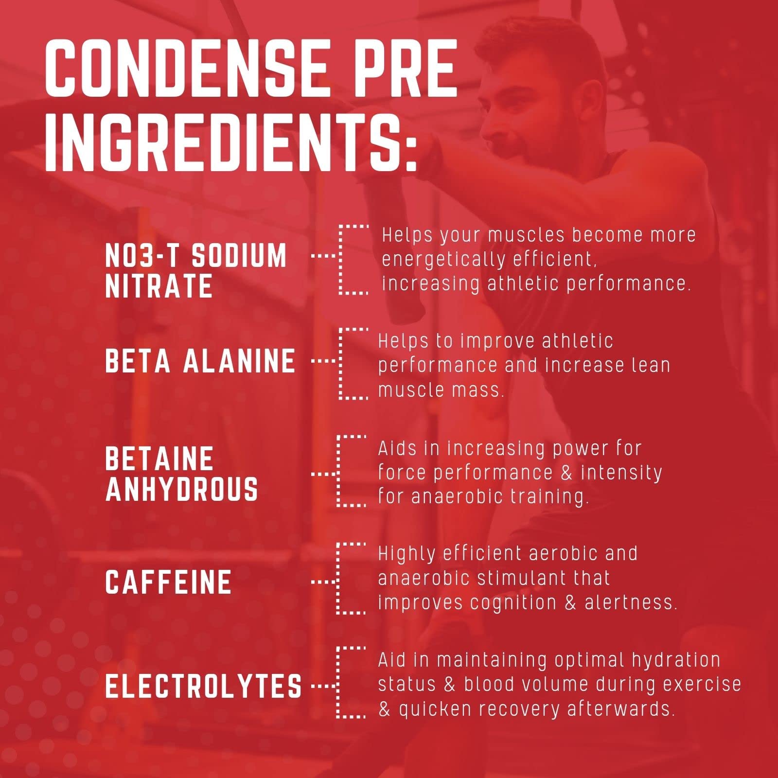 Purus Labs CONDENSE PreWorkout Powder, 40 Servings (Tropical Island Punch)