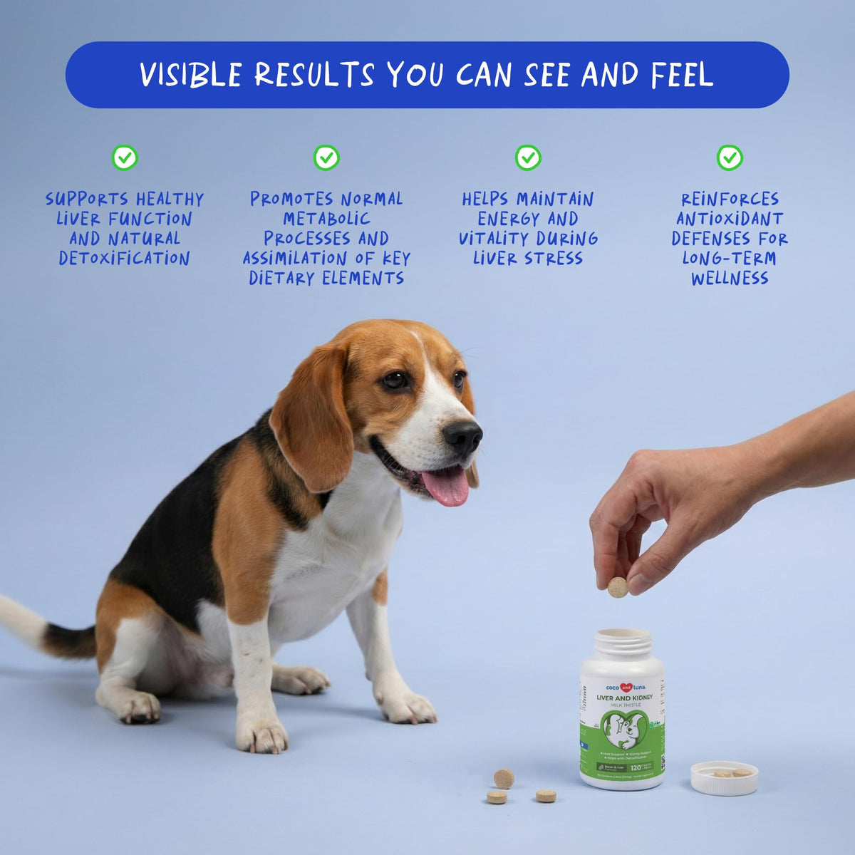 Milk Thistle for Dogs - 120 Chewable Tablets - Silymarin - Liver and Kidney Support with EPA & DHA - Detox - Liver Supplement for Dogs Coco and Luna