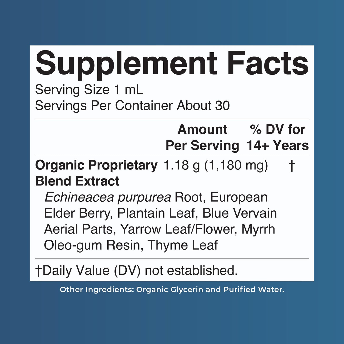 MARYRUTH'S Lymphatic Support Liquid Drops USDA Organic | Herbal Blend with Echinacea & Elderberry | Blue Vervain MARYRUTH'S