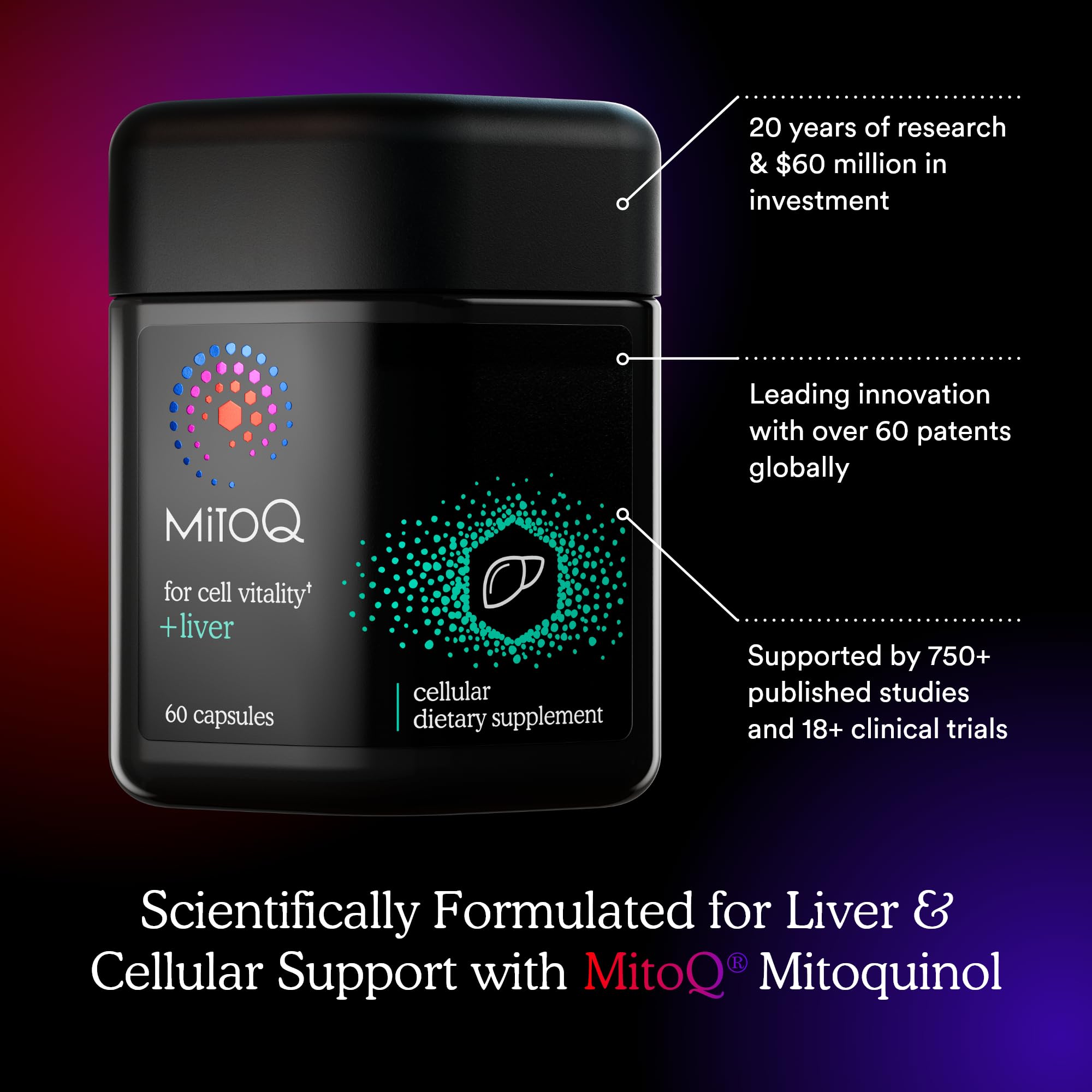 MitoQ +Liver – Advanced Liver Supplement with Highly Bioavailable Milk Thistle, Choline, Selenium Mitoquinol – Supports Metabolism, Body’s Natural Detoxification & Liver Health – 60 Capsules MitoQ buy australia supplements