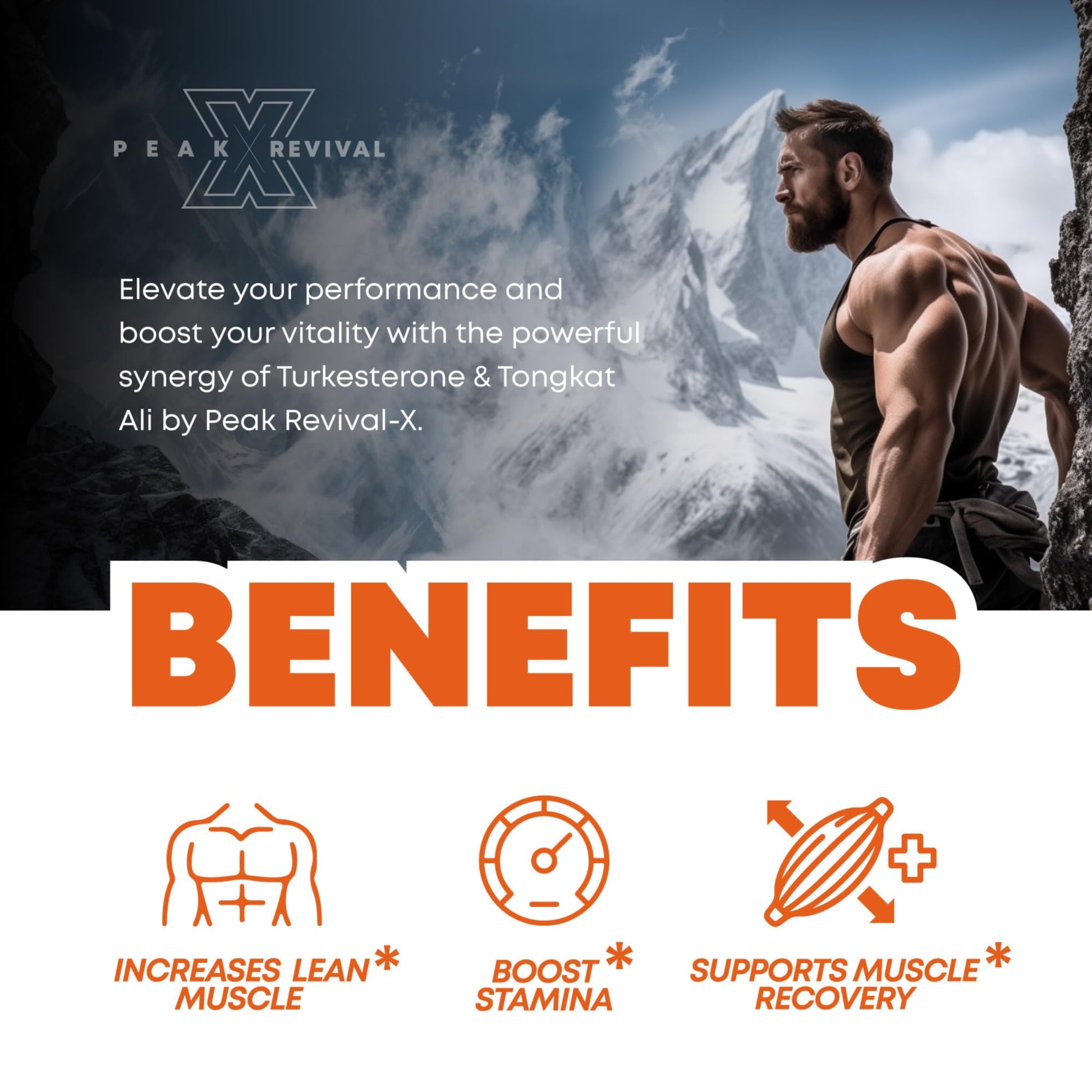 Peak Revival-X Turkesterone & Tongkat Ali 1000mg Supplement - 500mg Ajuga Turkestanica Per Serving Increase Stamina, Lean Muscle Growth & Recovery - Made in The USA (60 Capsules) Peak Revival-X buy australia supplements