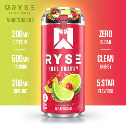 RYSE Fuel Energy Drink - Variety Pack - Sugar Free, Gluten Free & Vegan - 200mg Natural Caffeine, Taurine & Choline for Focus & Energy - No Artificial Colors - 16 fl oz Cans (12-Pack)