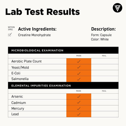 Vital Vitamins Creatine Monohydrate Pills, 3g for Women & Men | Supports Muscle Health, Energy & Cognitive Clarity, Micronized, Easy to Swallow, Non-GMO, 120 Capsules Gsupps Australia