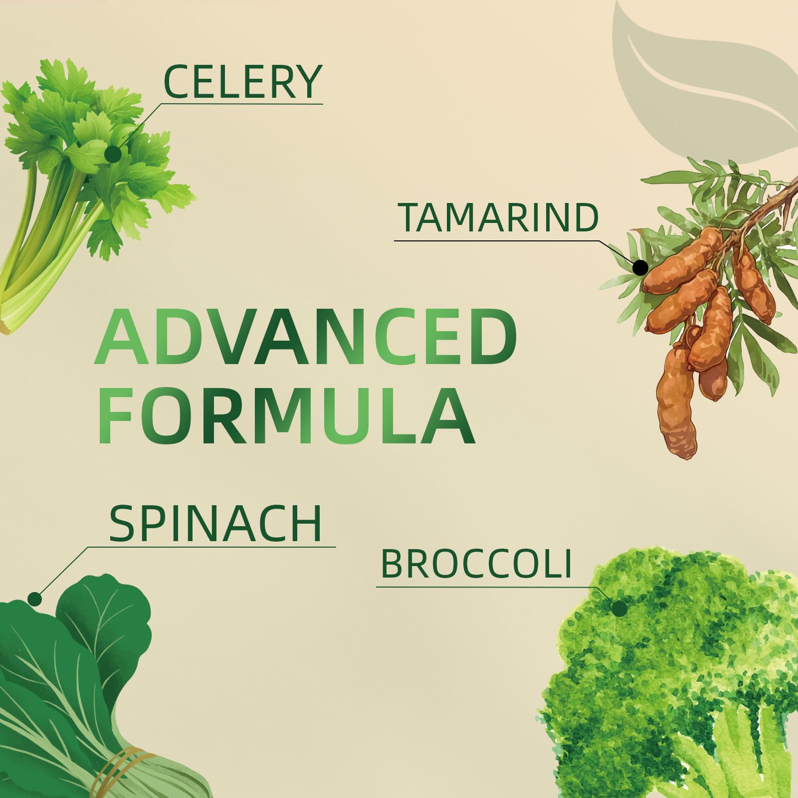 Greenshoots Super Food Gummies with Super Greens Blend, Vitamin A & C – Broccoli, Spinach, Moringa & Chlorella – Vegan, Sugar Free, Daily Nutrition Support, 60 Gummies Greenshoots buy australia supplements