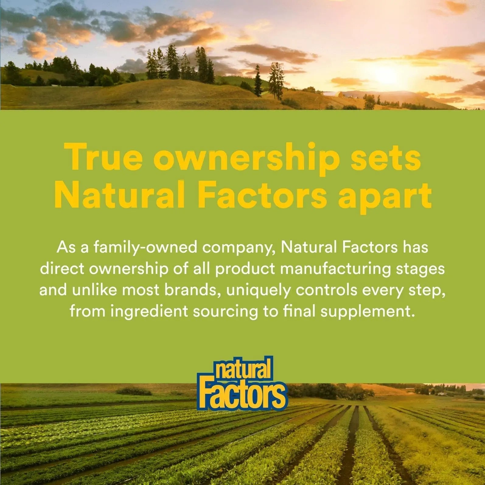 Natural Factors Whole Earth & Sea Men's Multivitamin s& Mineral, 1 Serving Contains Nutrition Equivalent to ½ lb of Veggies, 120 Tablets Natural Factors buy australia supplements