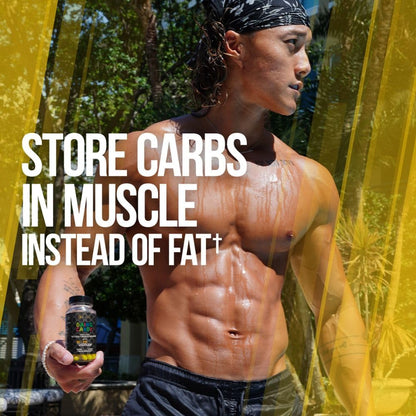 ALPHA LION Gains Candy, Pills that Support Weight Loss, Energy Supplements, 100% Natural Extract, Calorie Burning, Regulates Healthy Metabolism, 60 Capsules (Fat Loss - CaloriBurn®)