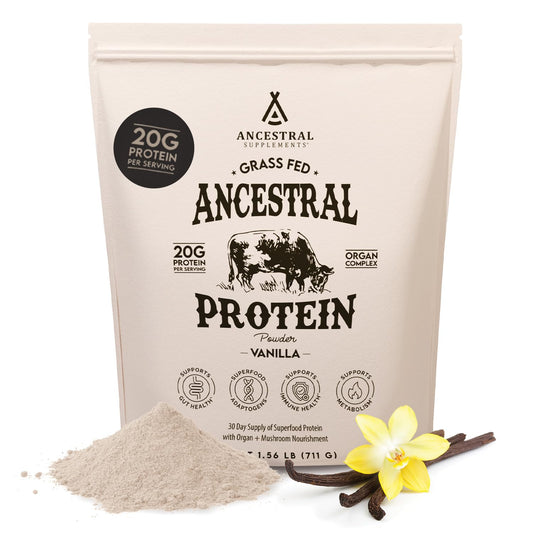 Ancestral Supplements Grass Fed Protein Powder, Chocolate, Beef Bone Broth Based w/Beef Organs & Organic Mushrooms, Gut Health Support, High Protein Supplement, 20g Protein Per Serving, 30 Day Supply