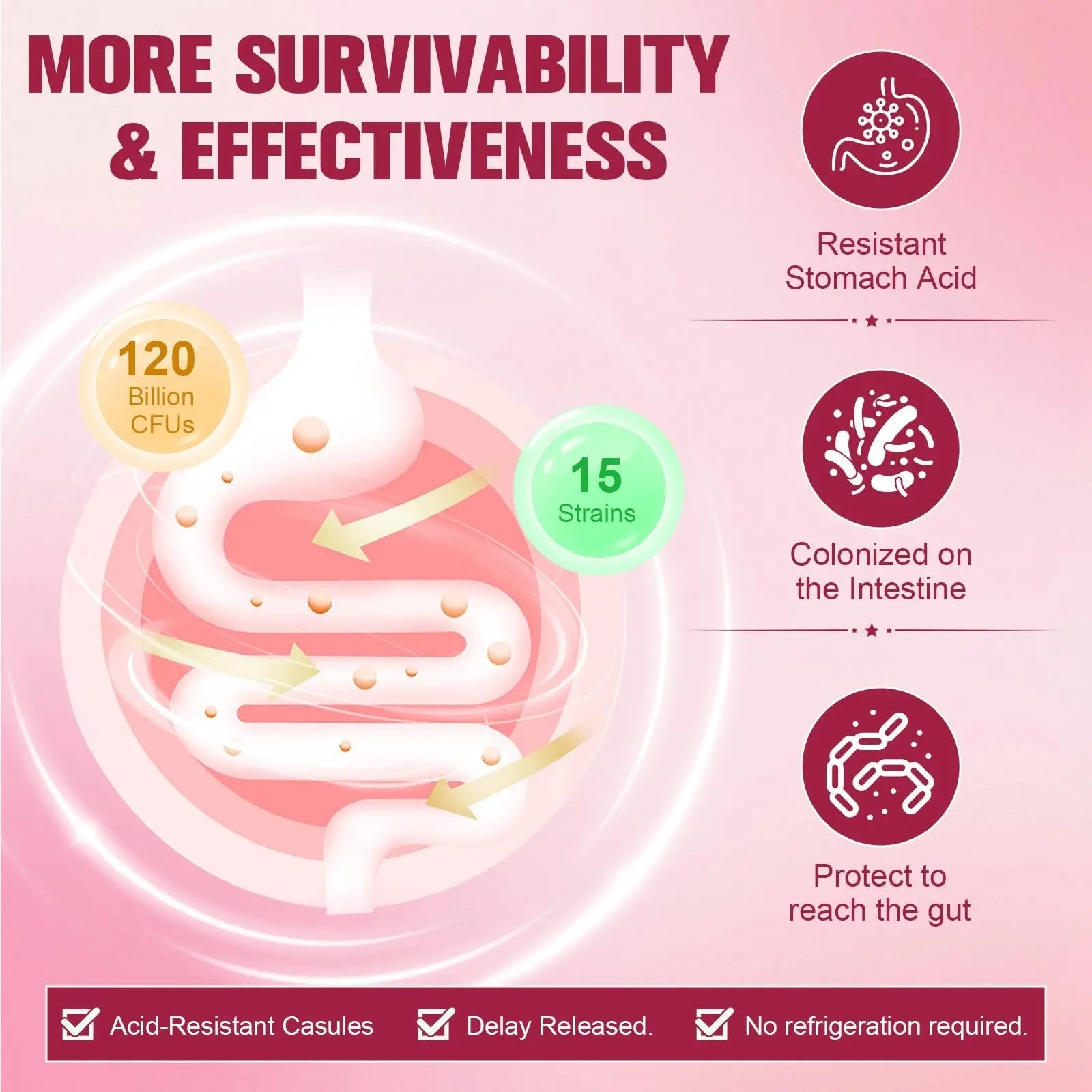 Totaria Probiotics for Women, 120 Billion Women Probiotic, with Akkermansia, Digestive Enzymes & Prebiotics, Cranberry, D-Mannose, for Gut, Vaginal, Urinary, Immune, PH Balance, 120 Vegan Capules Totaria buy australia supplements