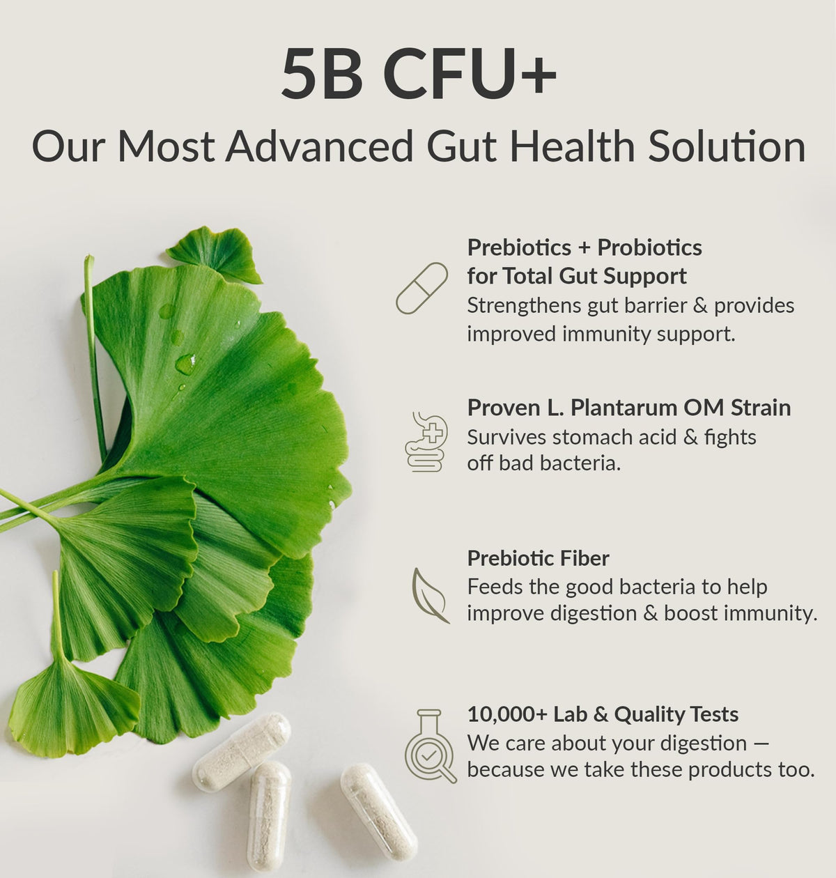 BIOptimizers Probiotic Breakthrough – Lactobacillus Plantarum OM Probiotics & Prebiotics Health Supplement for Gut, Digestive & Immune Support Probiotics BIOptimizers