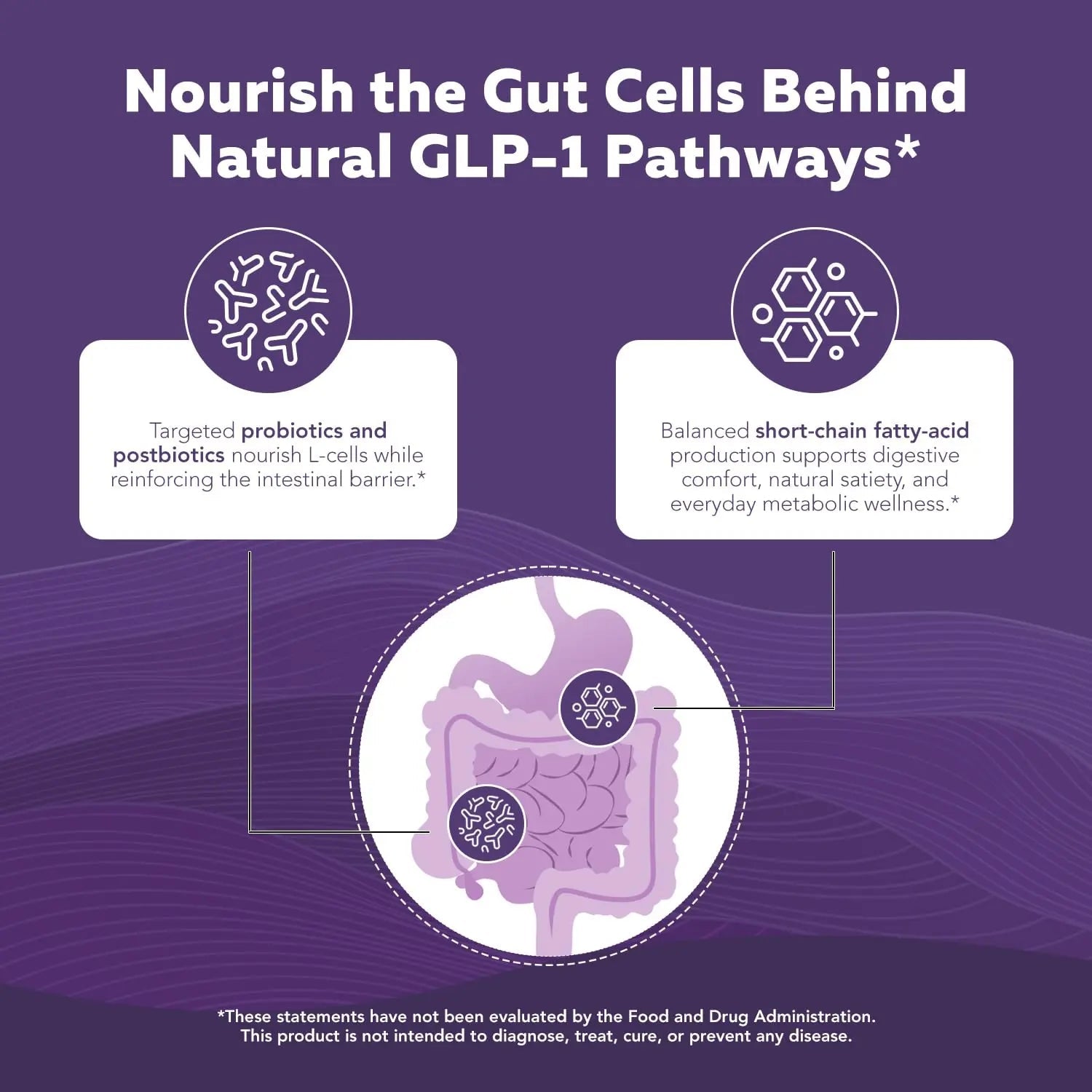 GLP-Pro™: Probiotic & Postbiotic Blend for Natural GLP-1 Support — Akkermansia MucT™, ButyraGen® Butyrate Generator & Spore Bacillus — Healthy Appetite, SCFA & Metabolic Balance — 30 Count Triquetra Health buy australia supplements