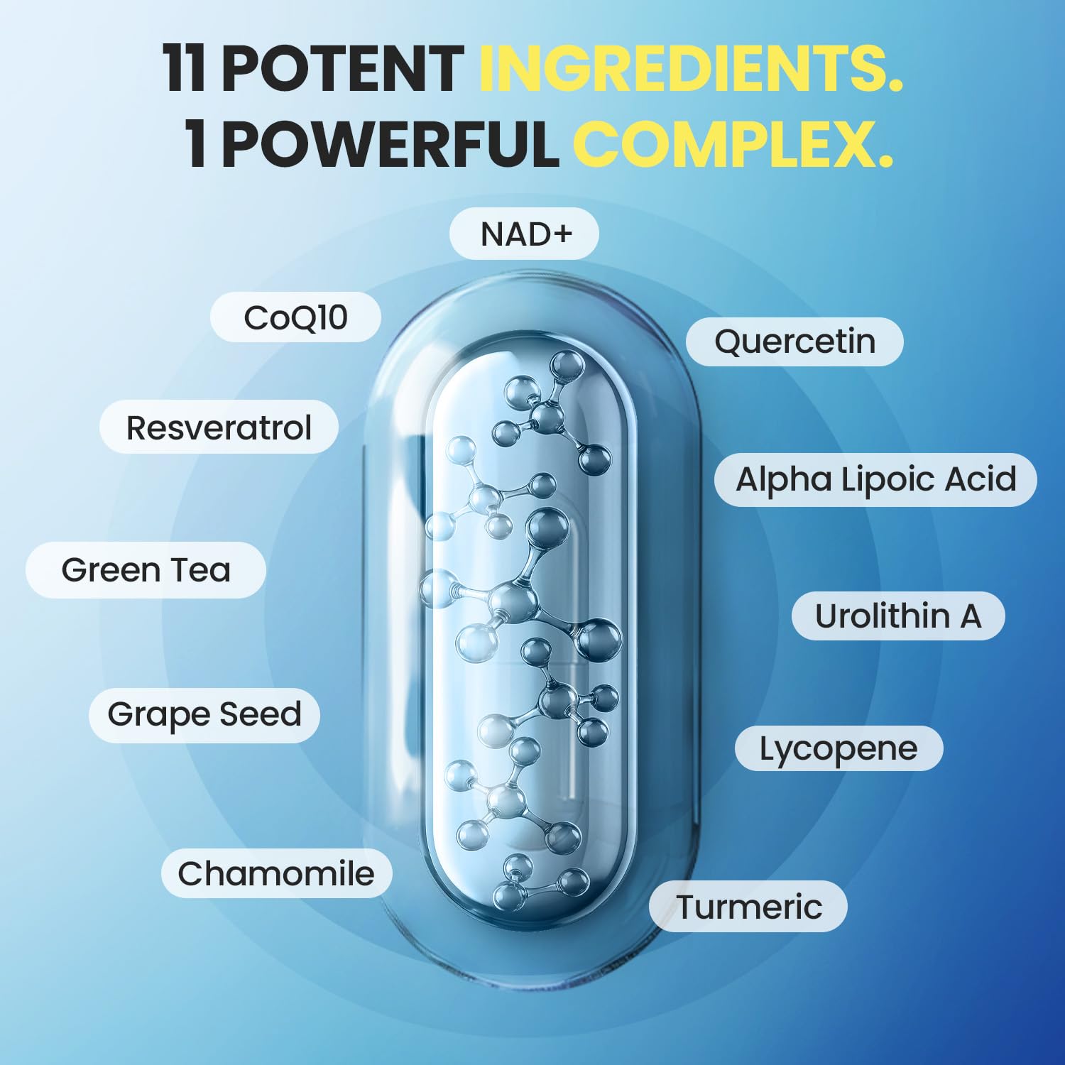 Liposomal NAD+ Supplement Extra Strength | Urolithin A, Resveratrol, CoQ10 - Women & Men - ALA, Green Tea, Quercetin, Lycopene | High Purity, Energy & Regeneration - Made in USA – 60ct Vitamax buy australia supplements